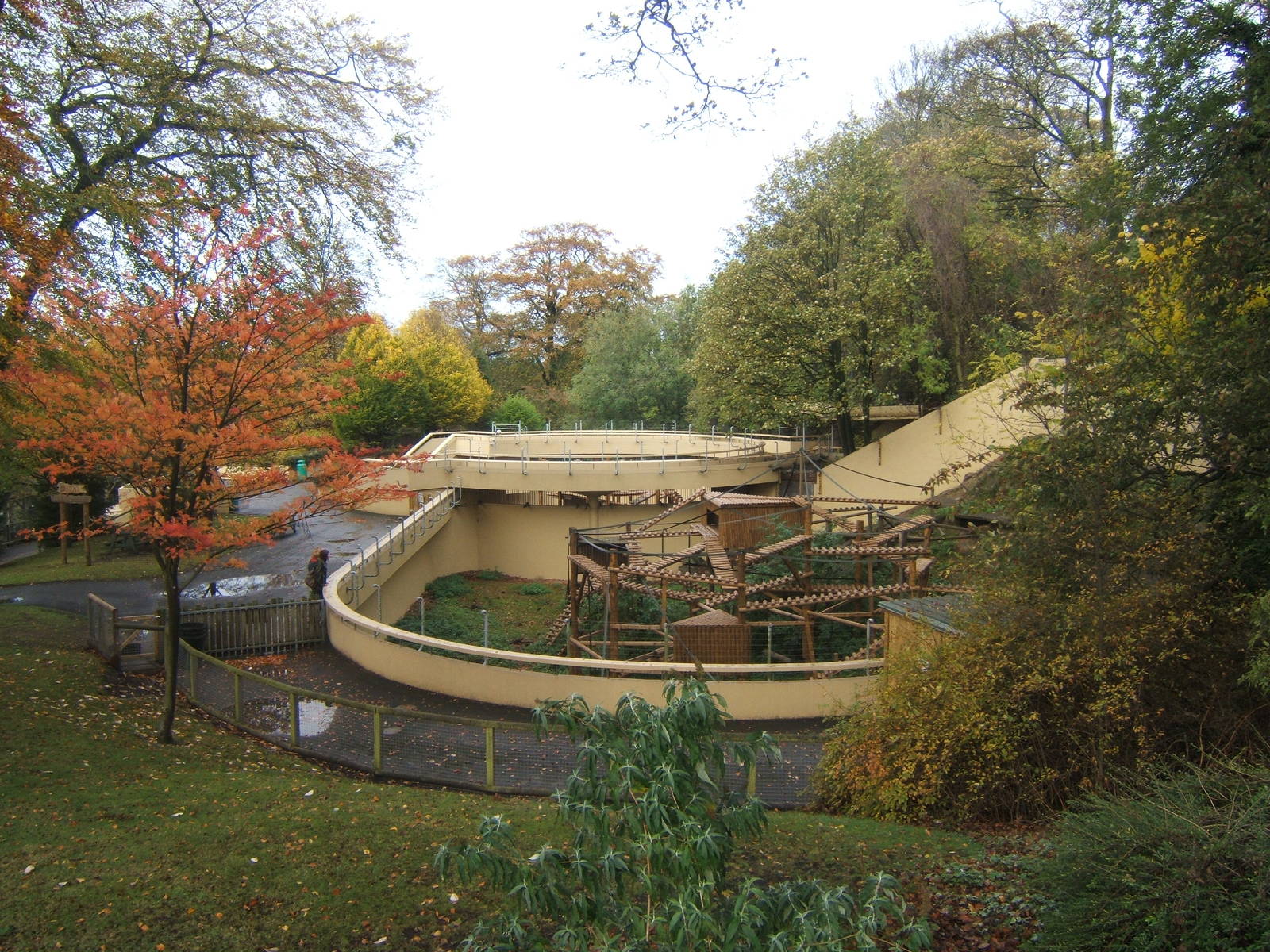 View Of Gelada exhibit