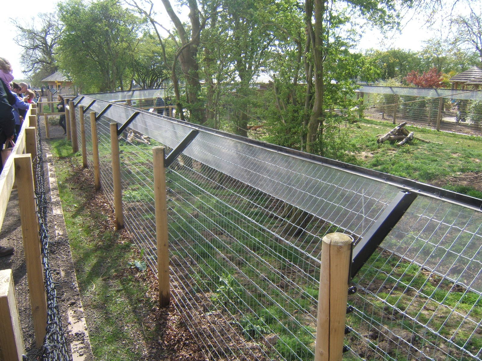 View of Giant Anteater/Coati enclosure