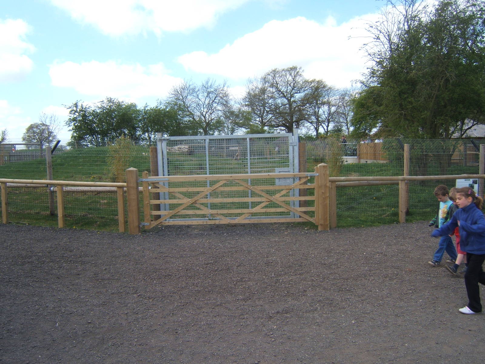 View of Giant Anteater enclosure