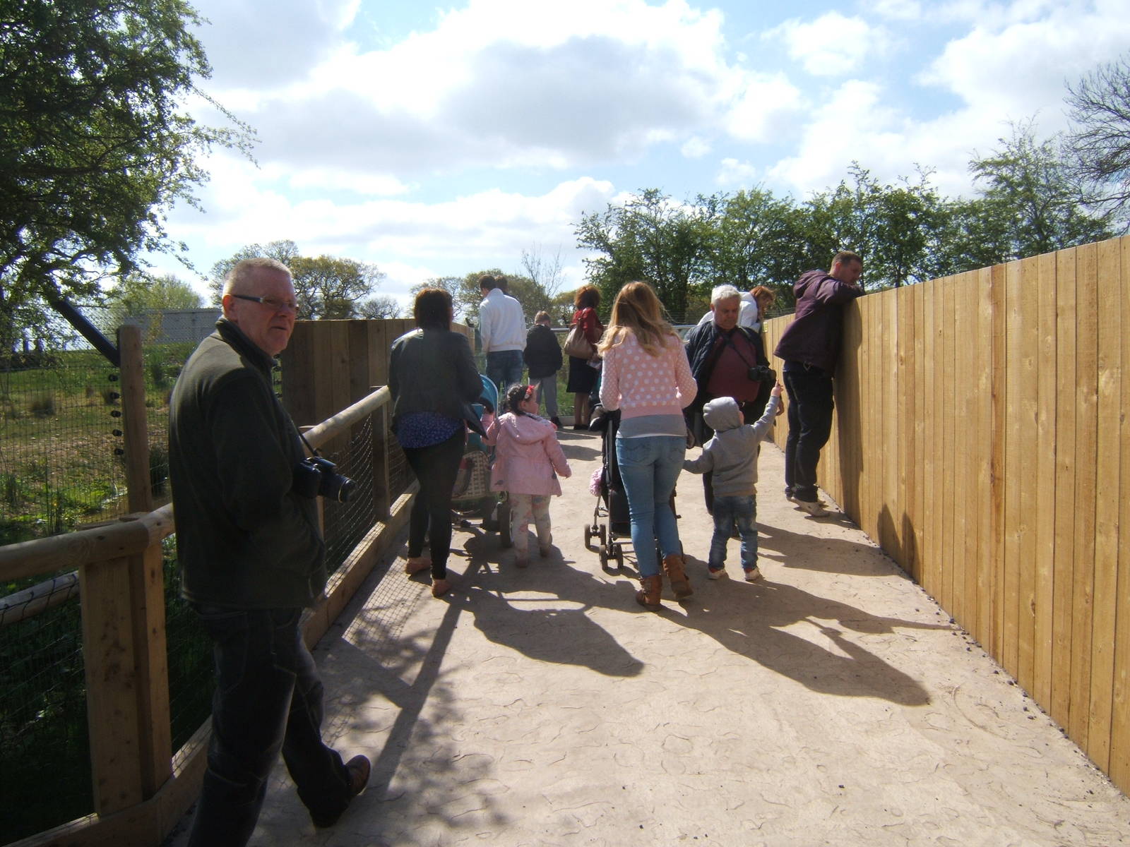 View of Giant Anteater viewing platform