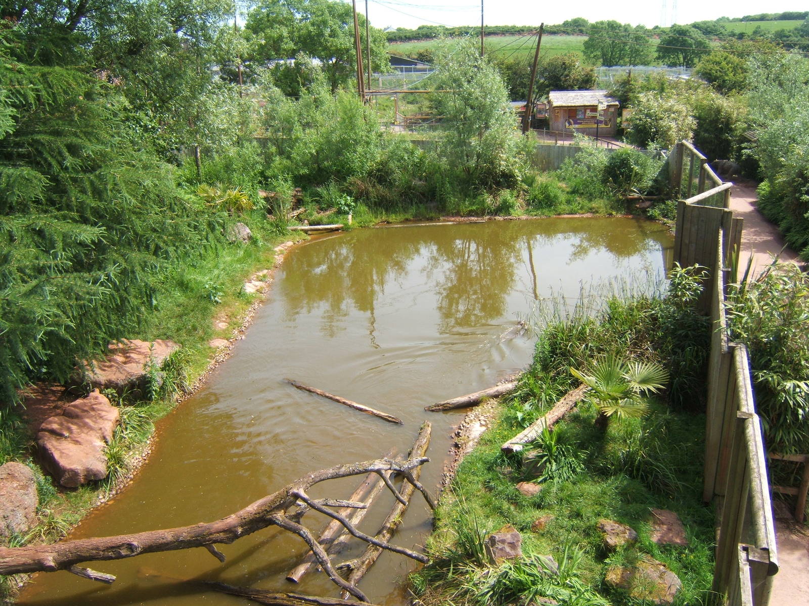 View of Giant Otter enclosure from the raised walk way