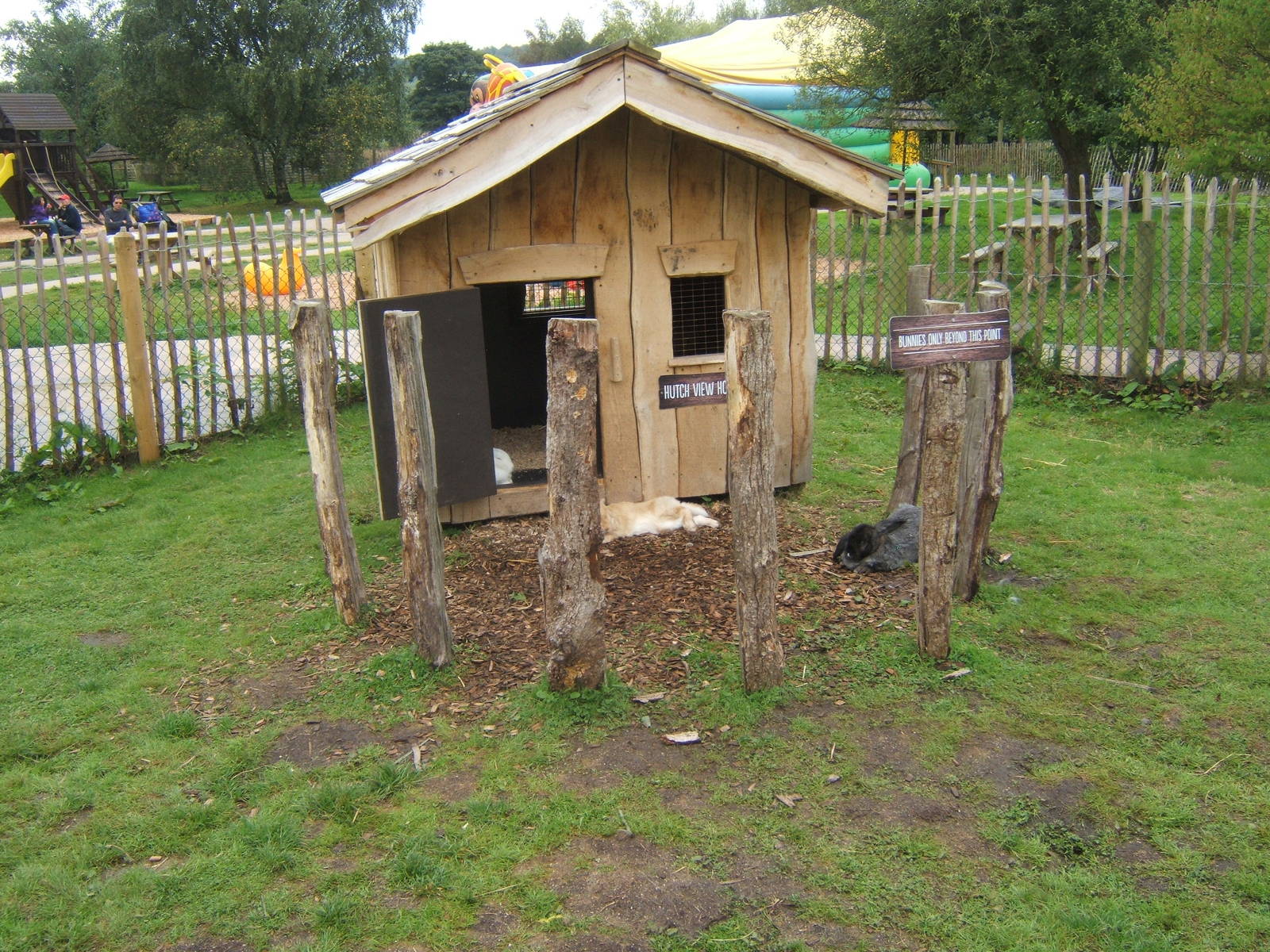 View of Giant Rabbit Hole exhibit