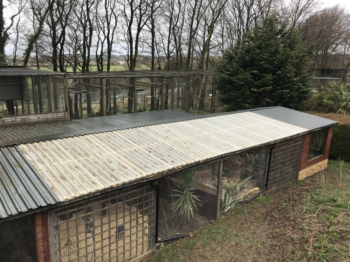 View of gibbon enclosure and aviaries 150418