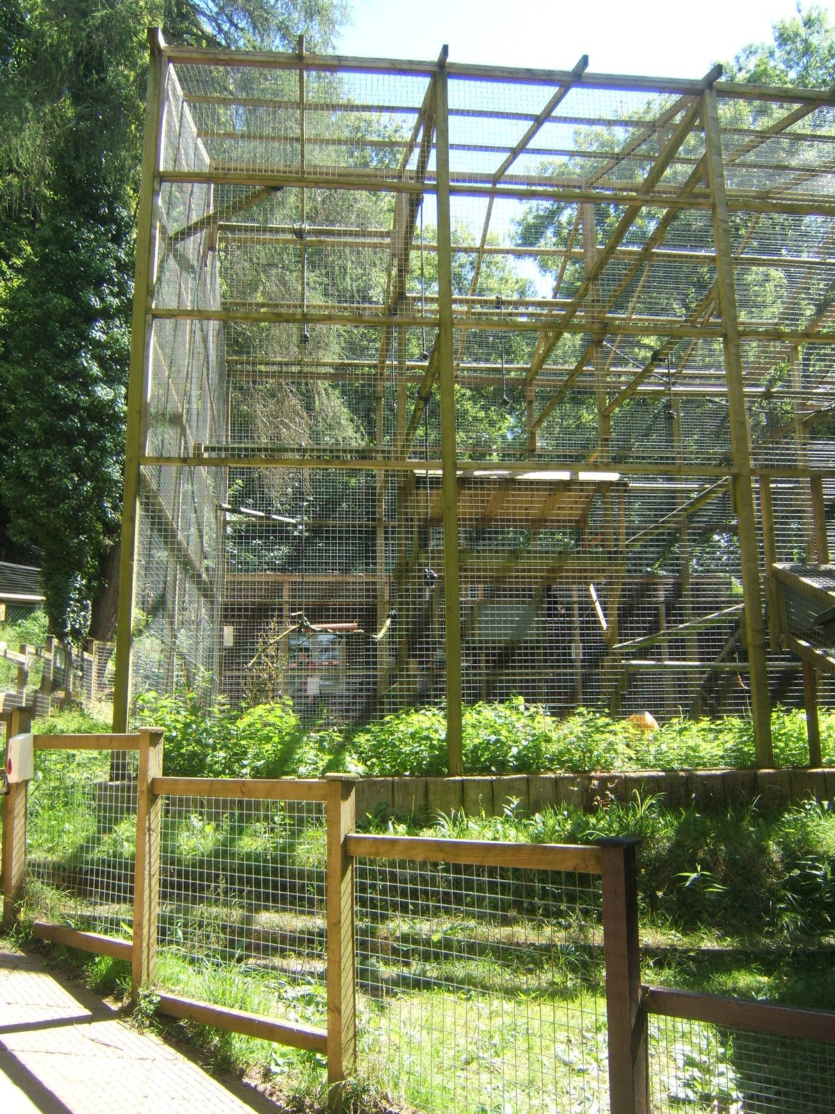 View of Gibbon enclosure