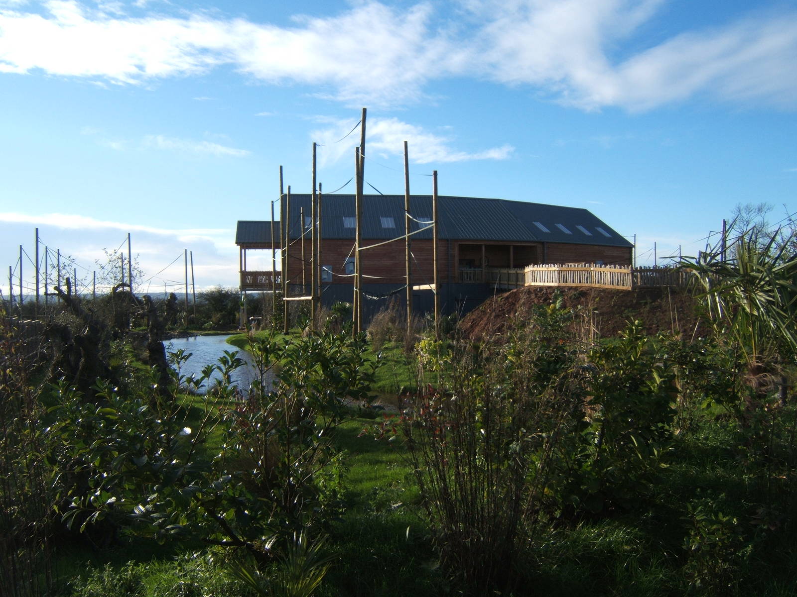 View of Gibbon Forest complex