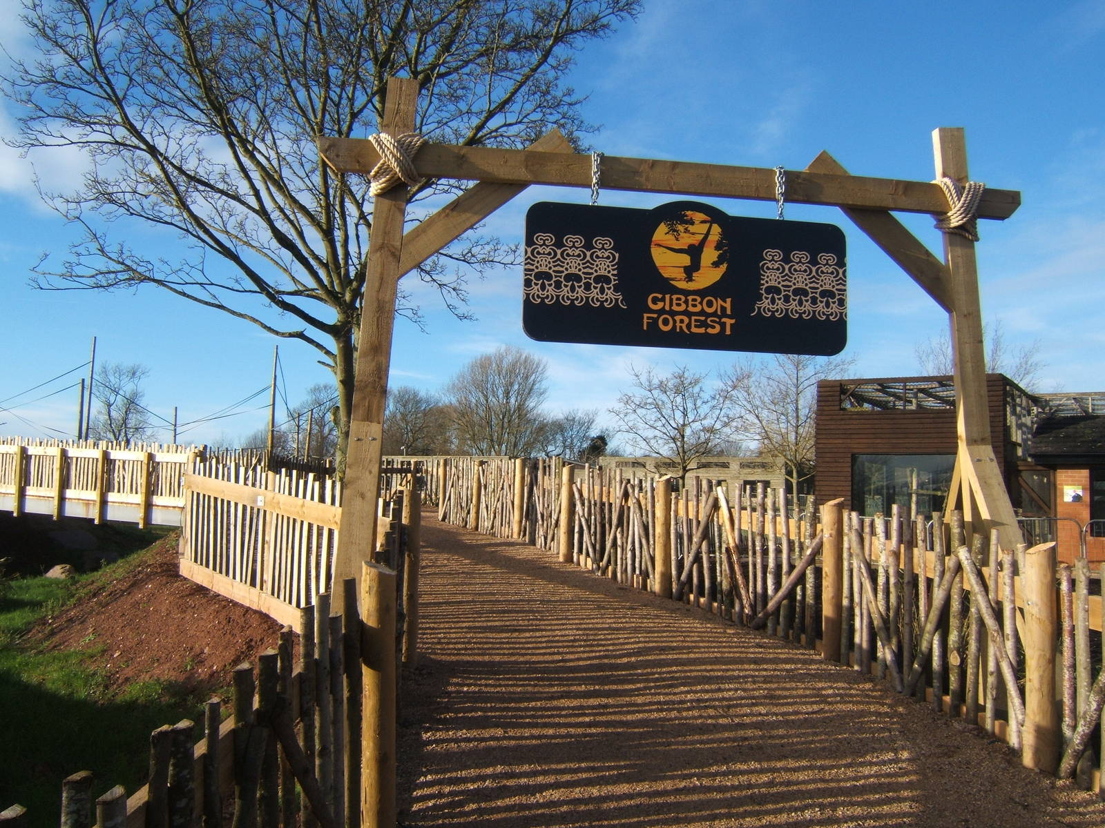 View of Gibbon Forest complex