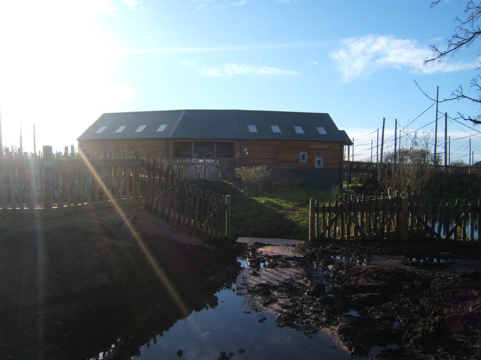 View of Gibbon Forest complex