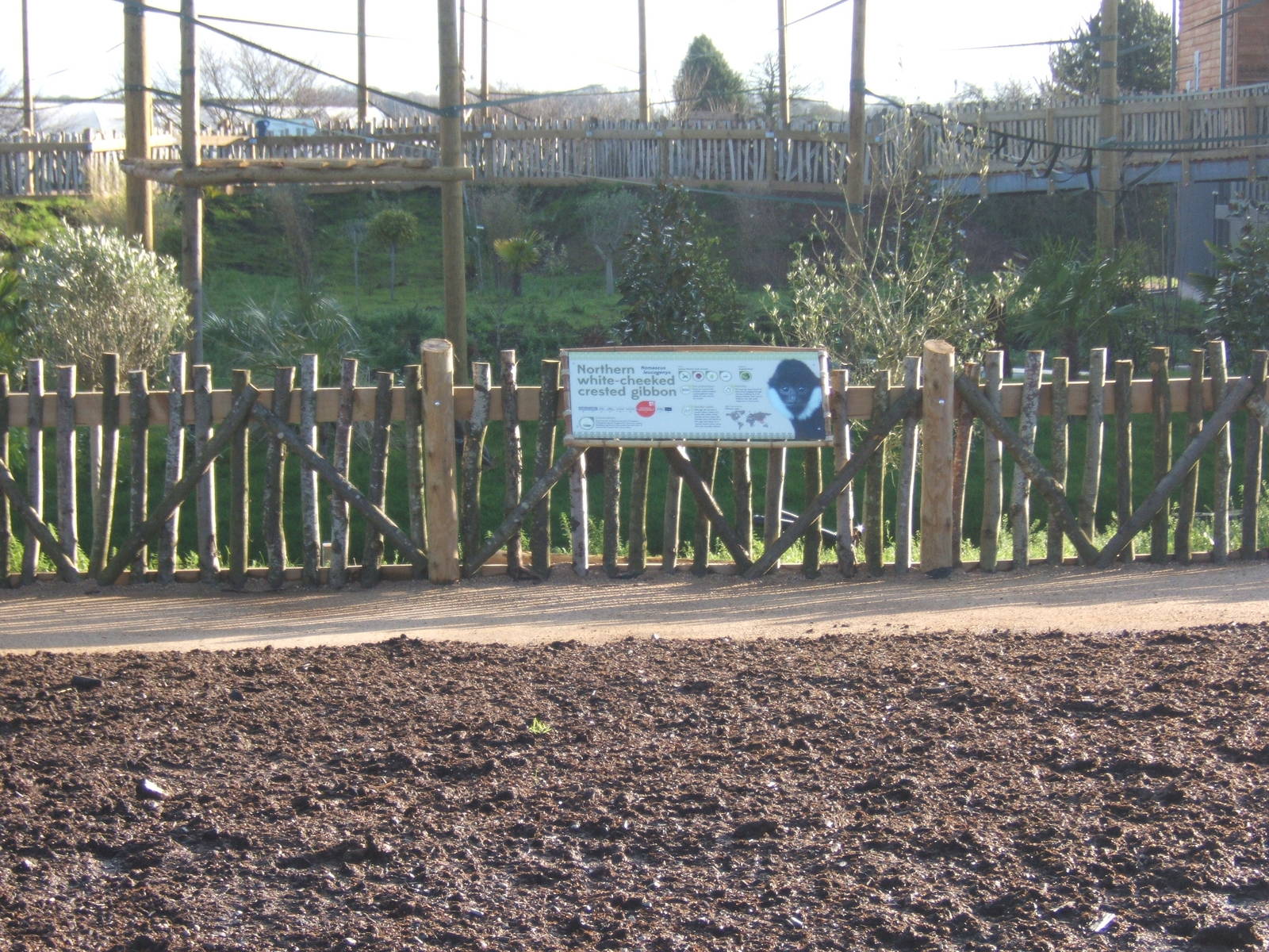View of Gibbon Forest complex
