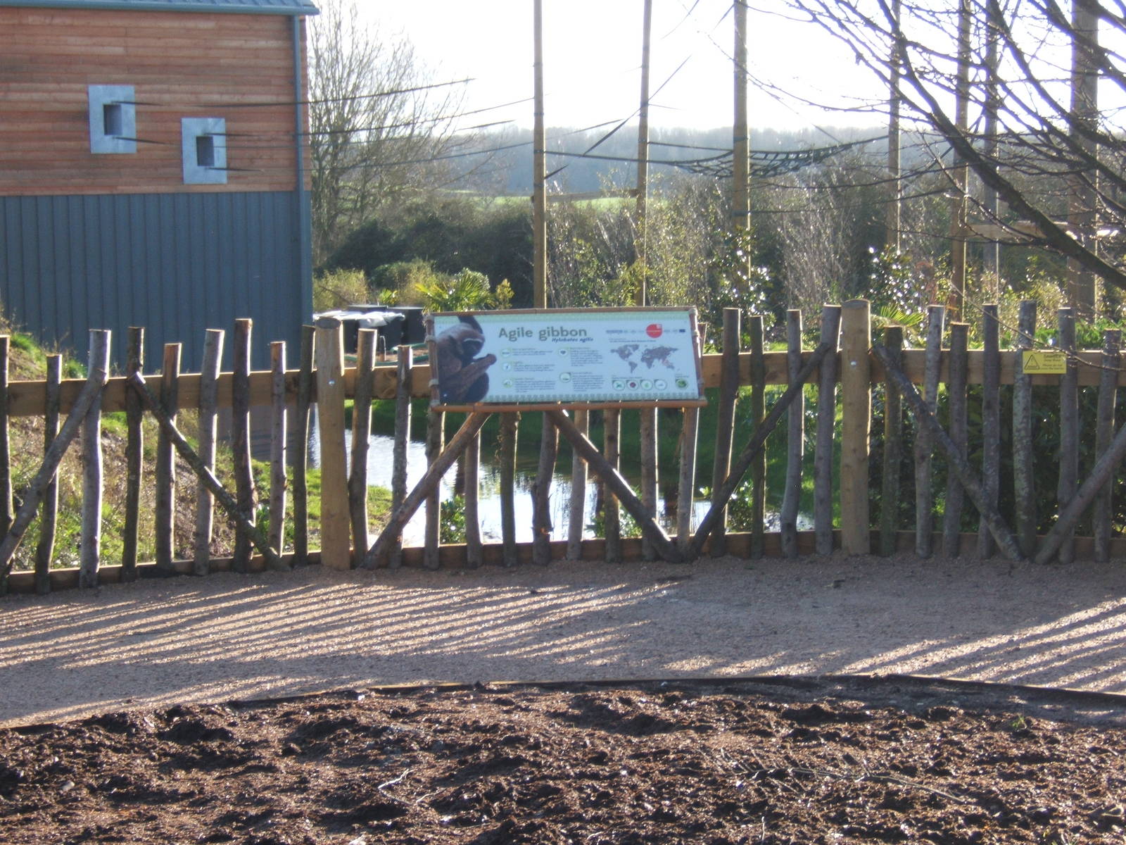 View of Gibbon Forest complex