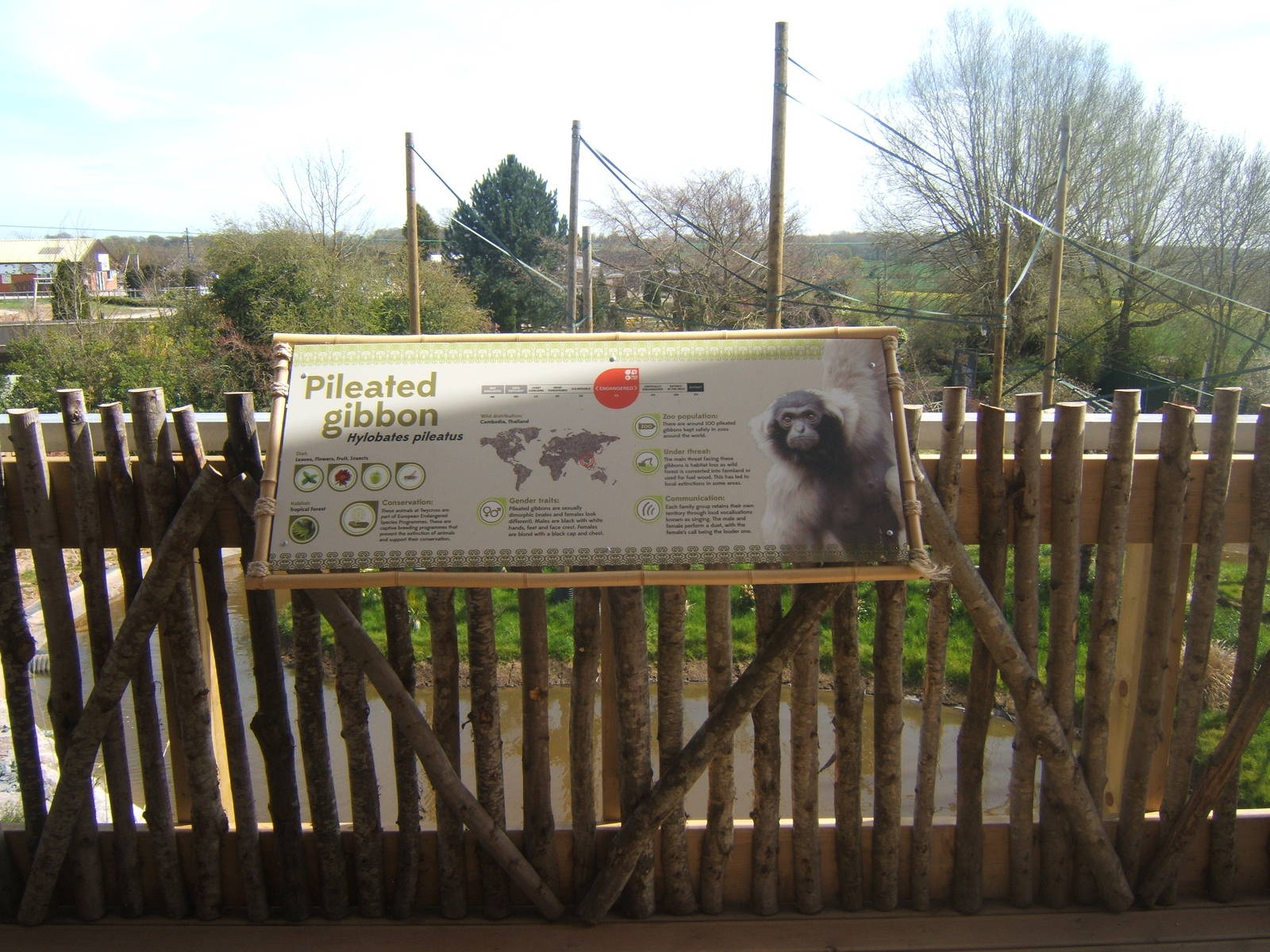 View of Gibbon Forest Islands