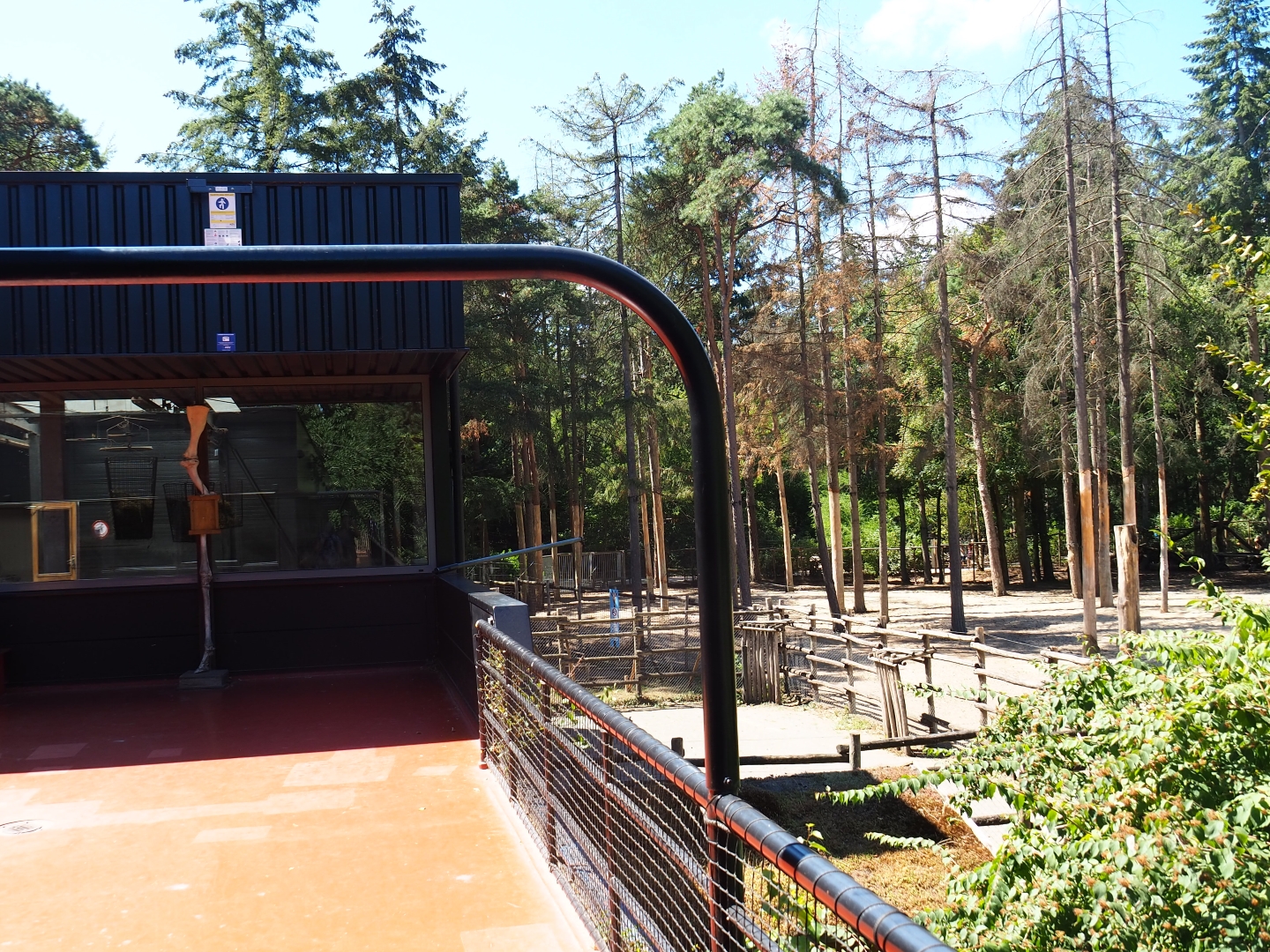 View of giraffe barn and separation paddocks