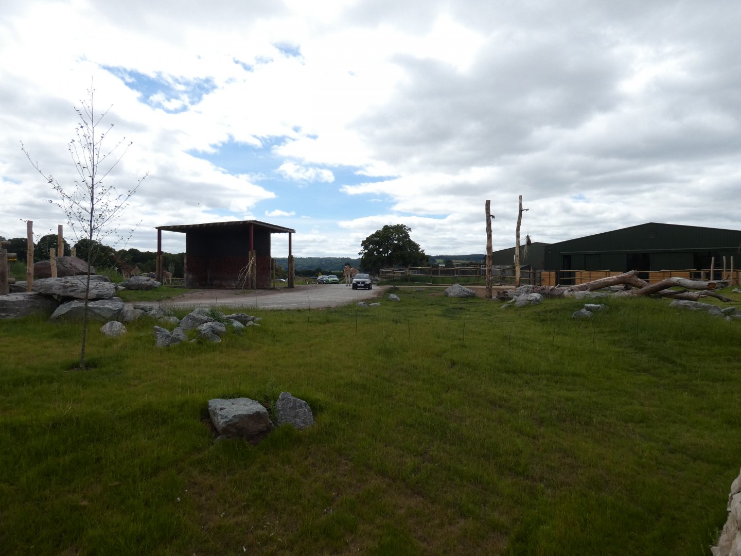 View of Giraffe enclosure from African Walking Trail