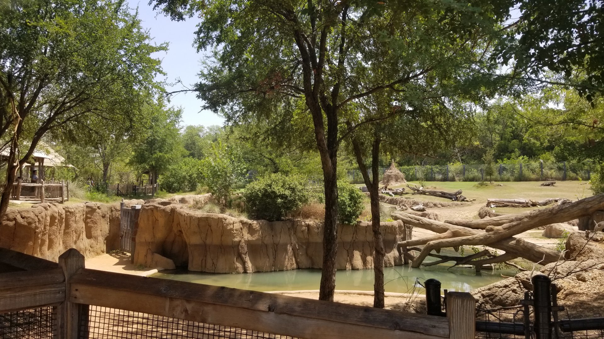 View of giraffe exhibit