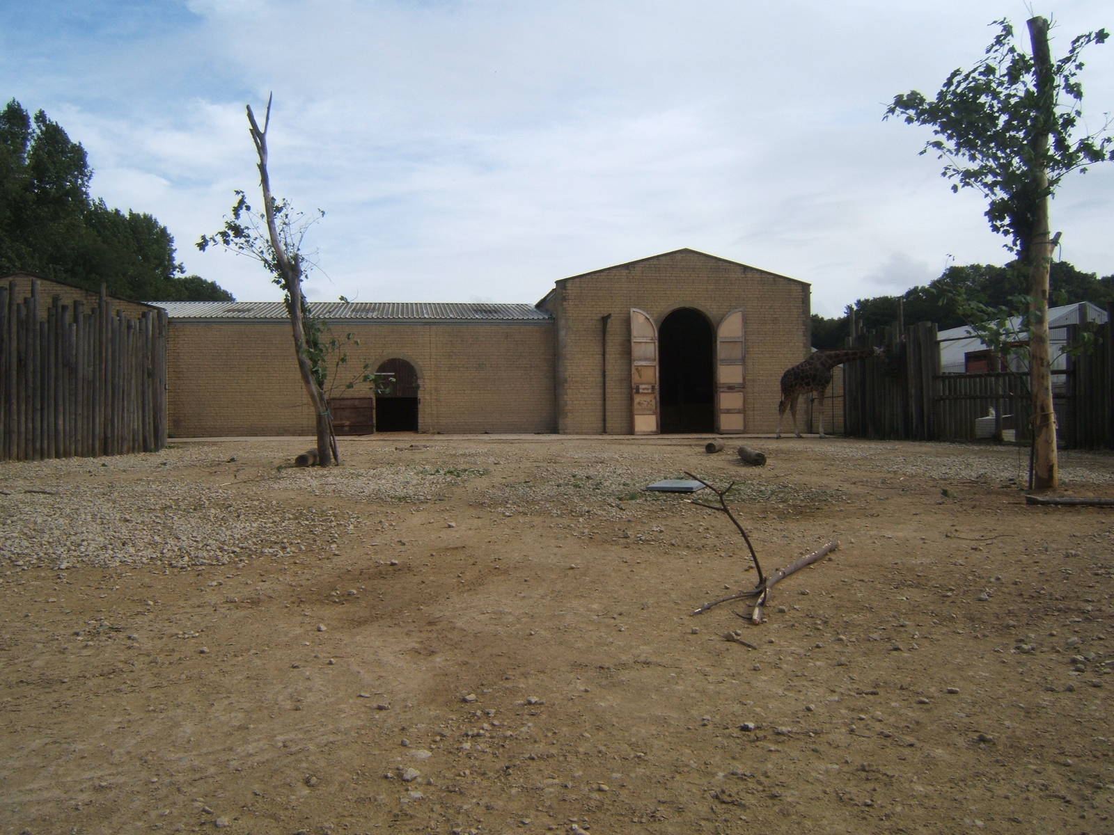 View of Giraffe House and Paddock