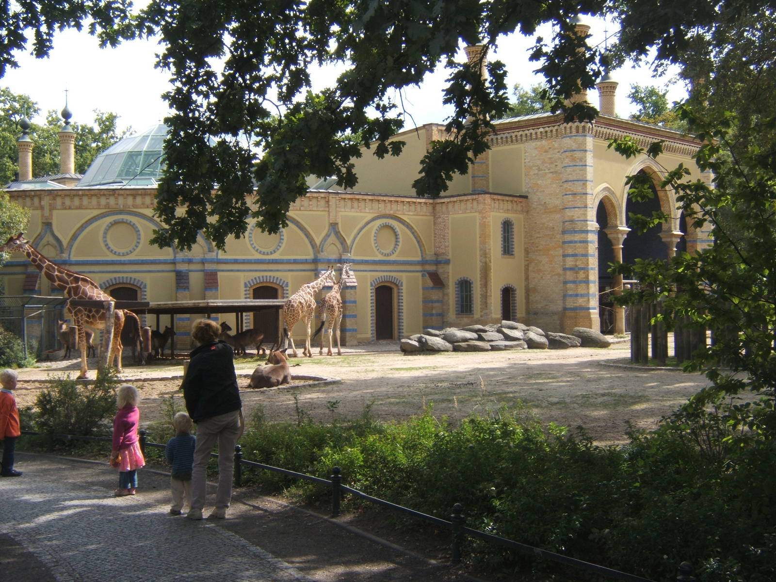 View of Giraffe House and paddocks