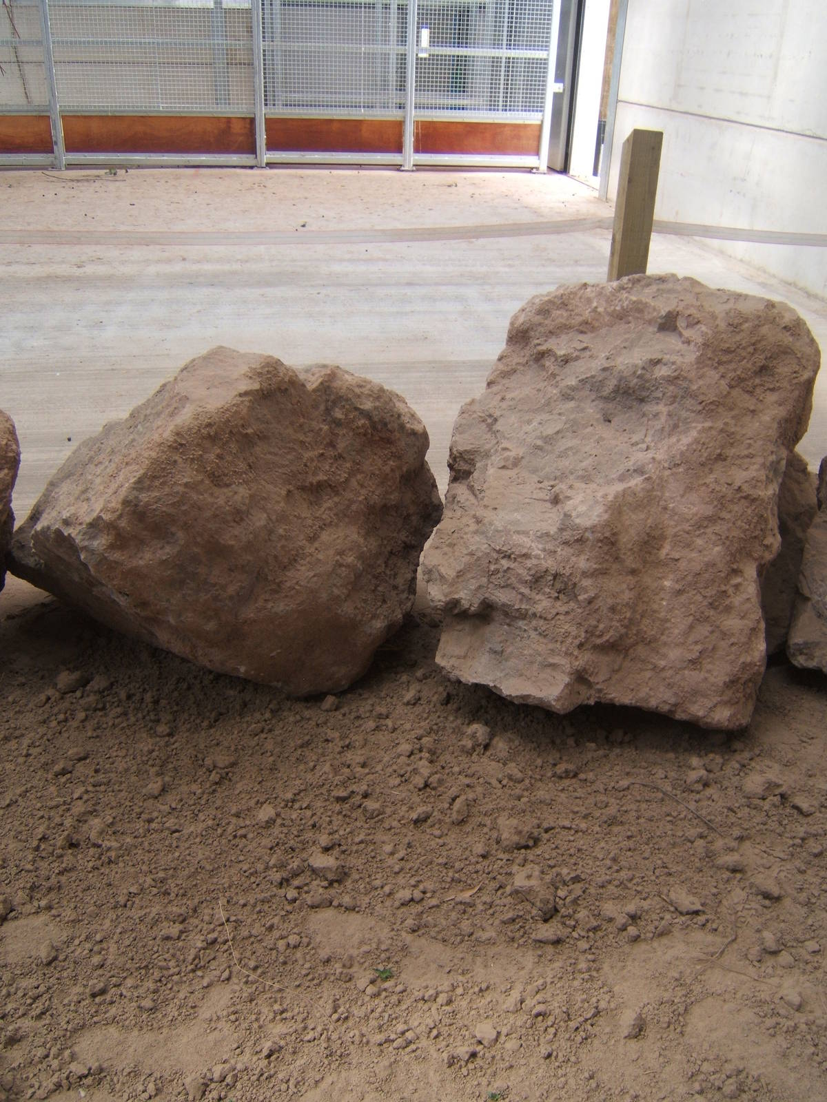 View of Giraffe House