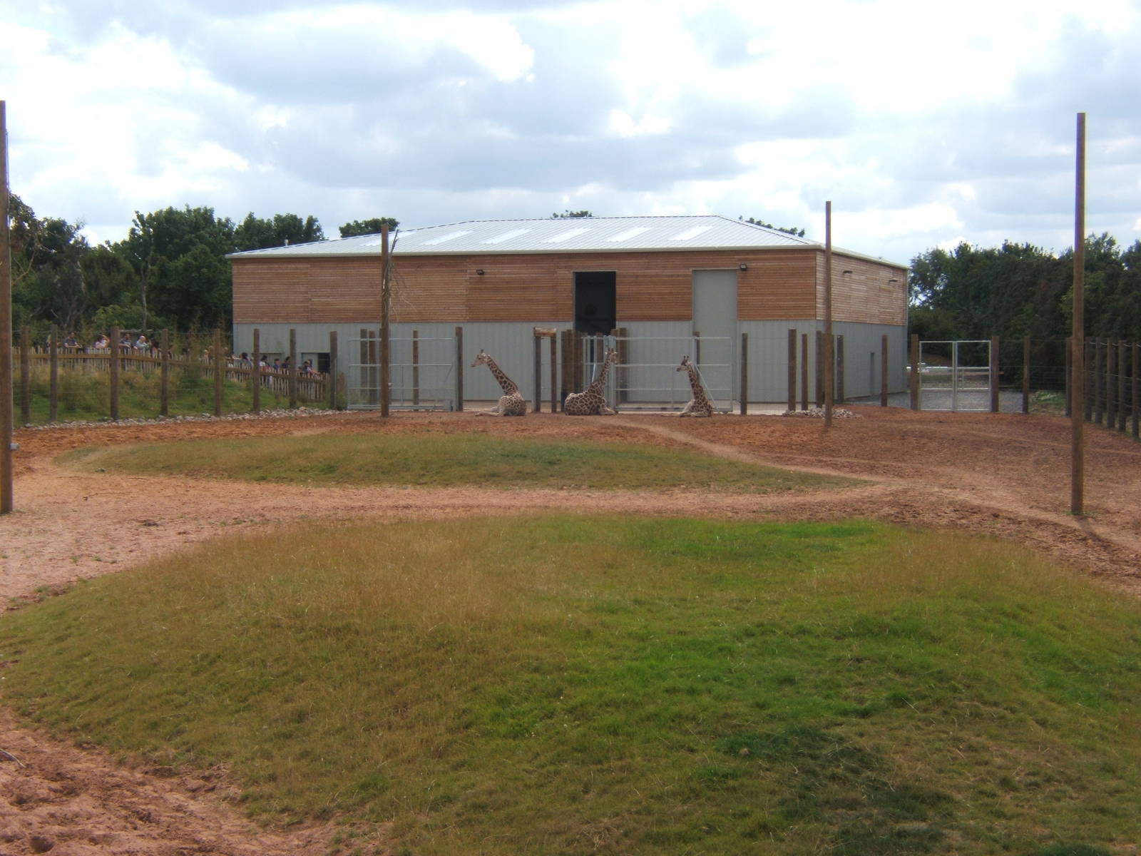 View of Giraffe House