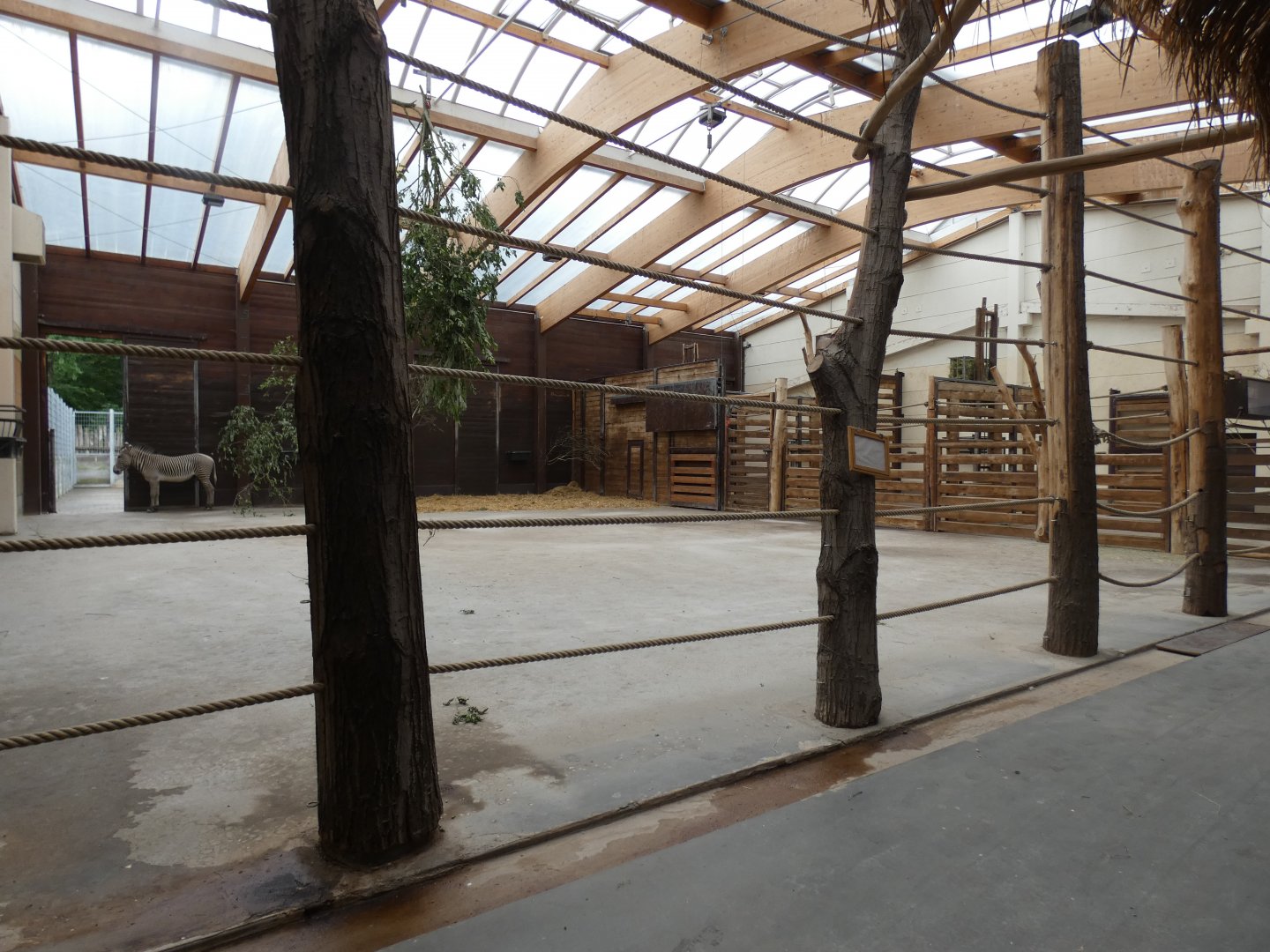 View of Giraffe house