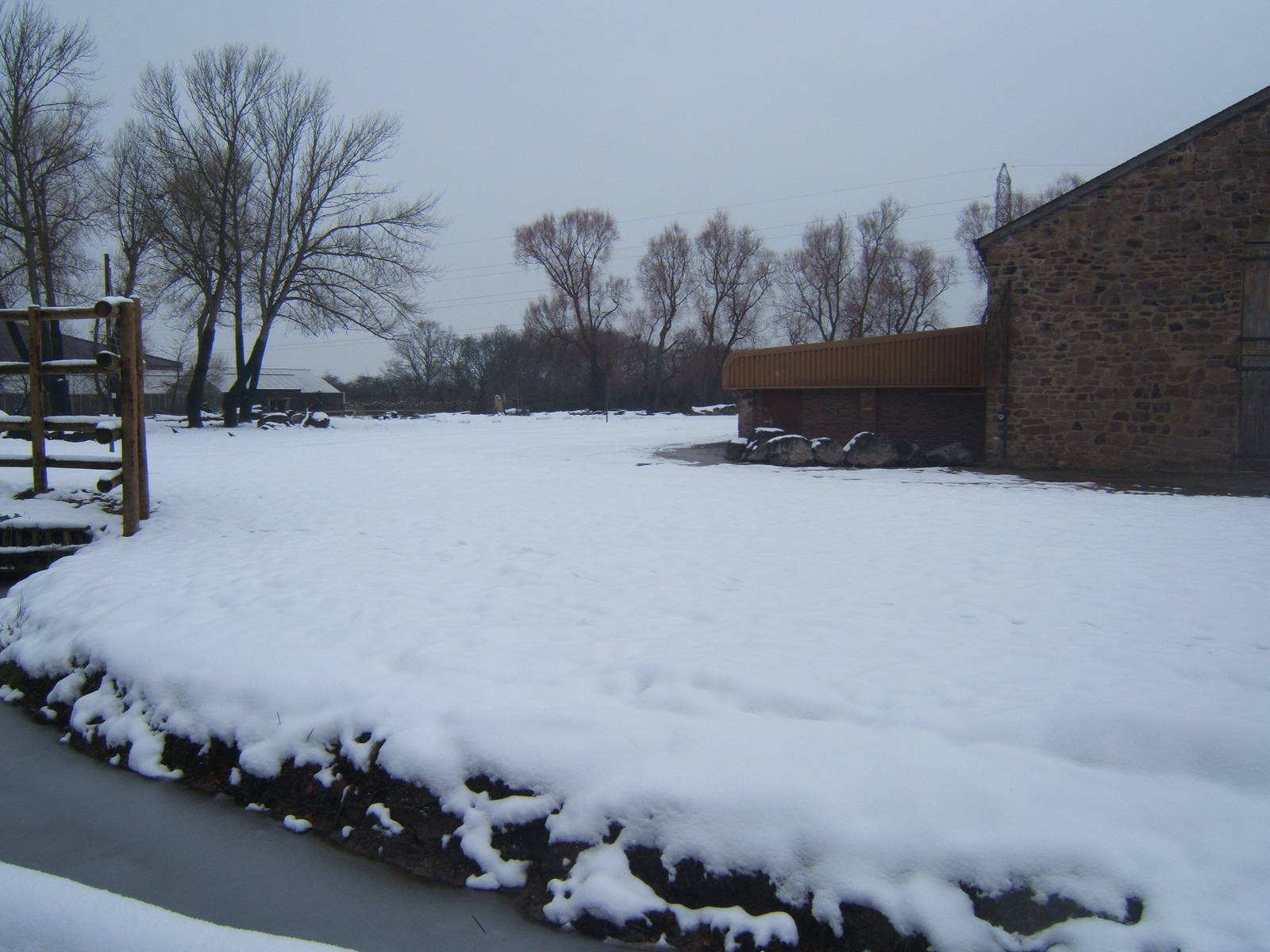 View of Giraffe paddock in snow