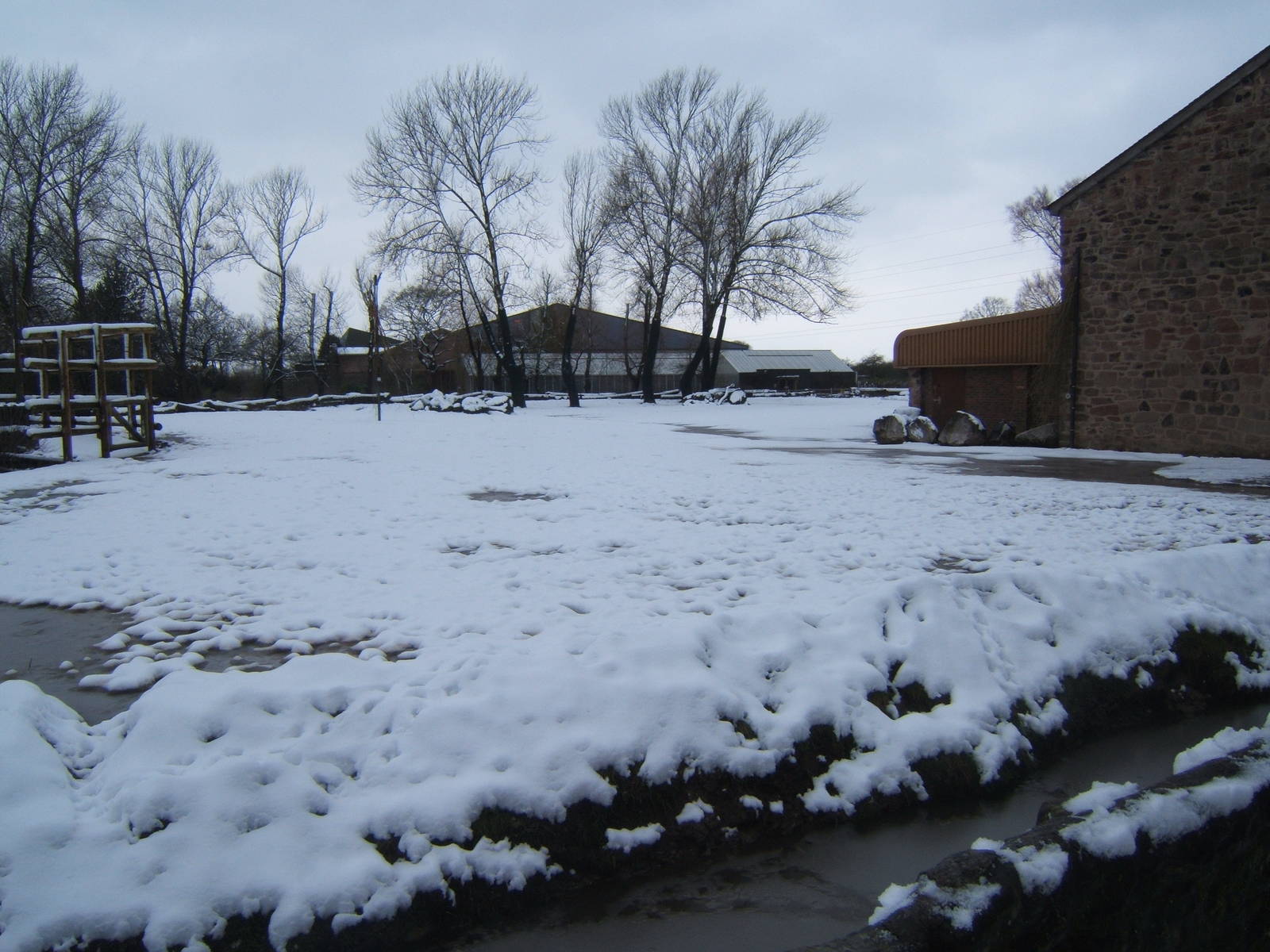 View of Giraffe paddock