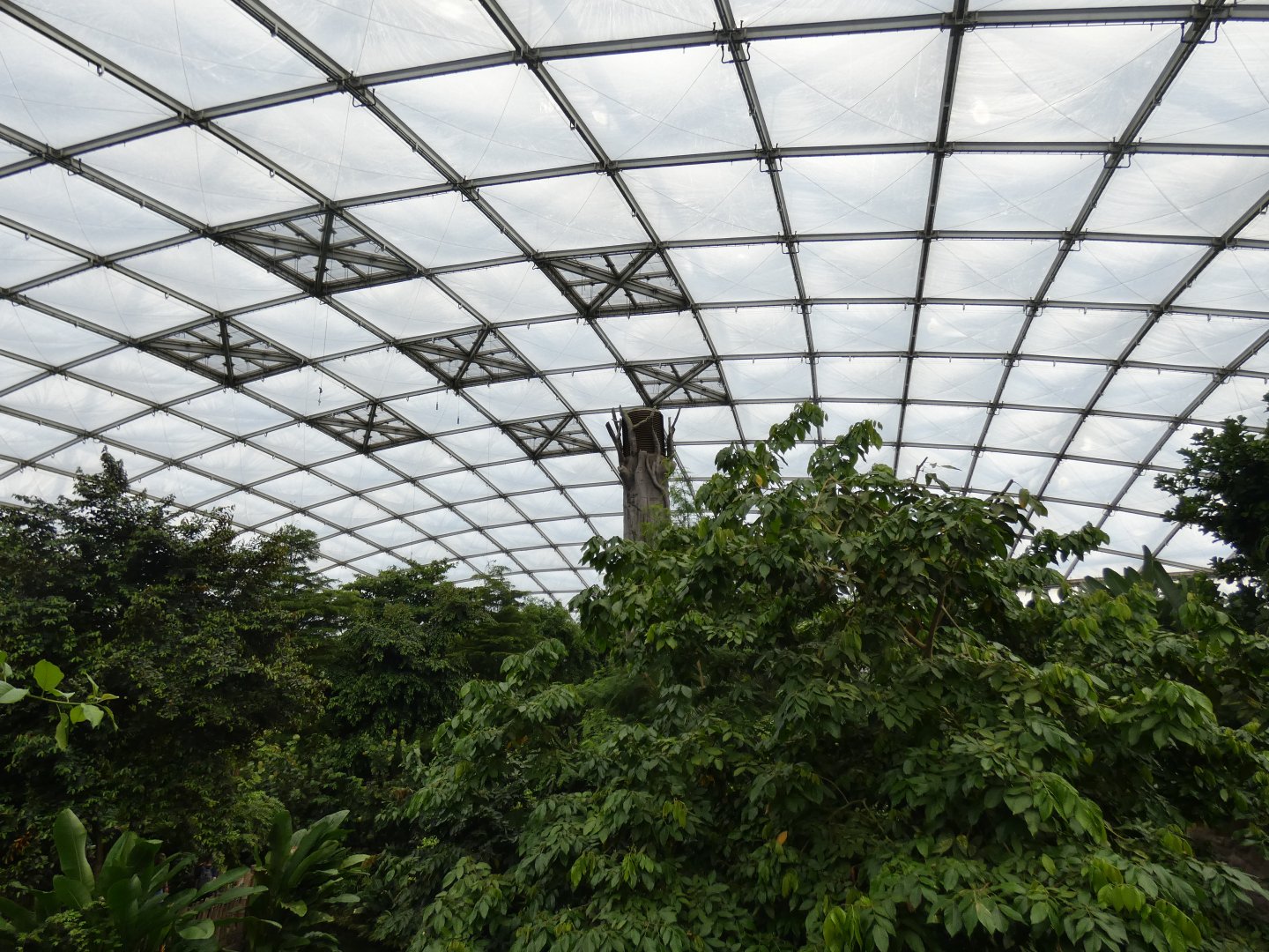 View of Gondwanaland