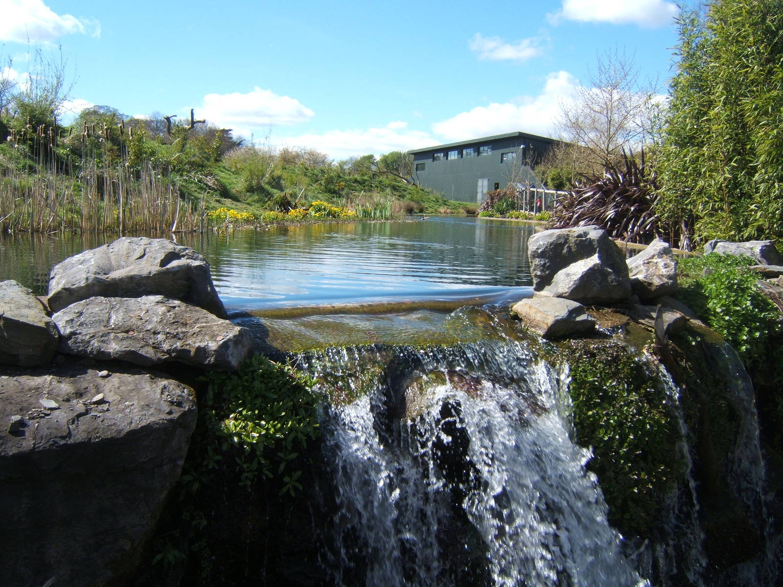 View of Gorilla enclosure and house
