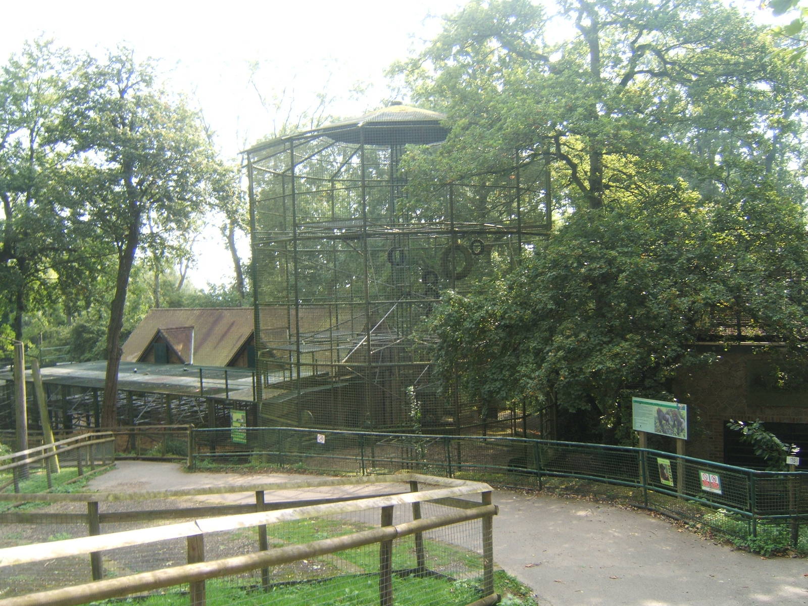 View of Gorilla enclosure
