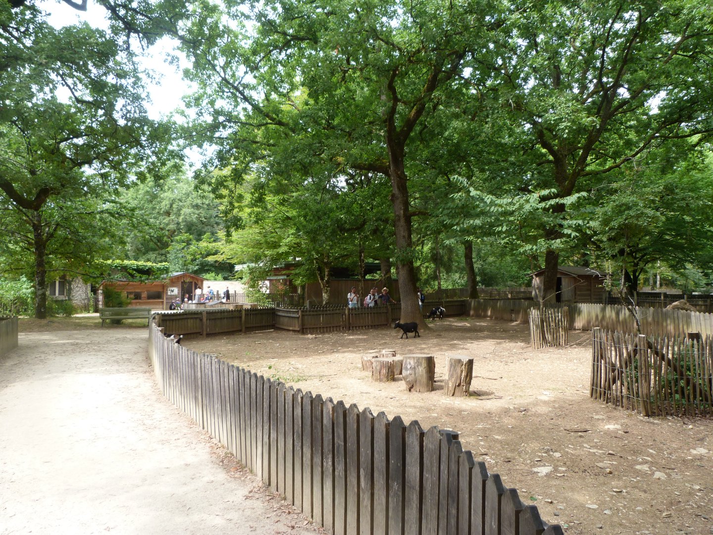 View of "Graine d’Odyssée"  -Zoodyssée (2025)