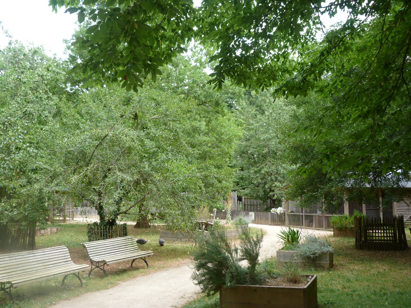 View of "Graine d’Odyssée" -Zoodyssée (2025)