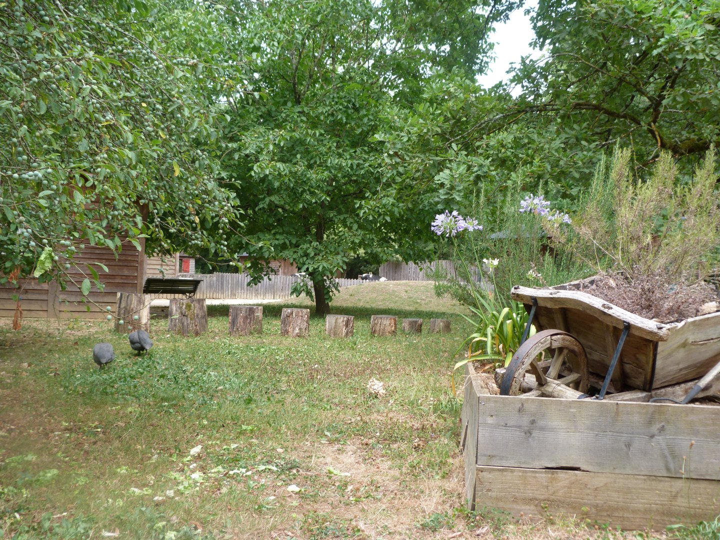 View of "Graine d’Odyssée" -Zoodyssée (2025)