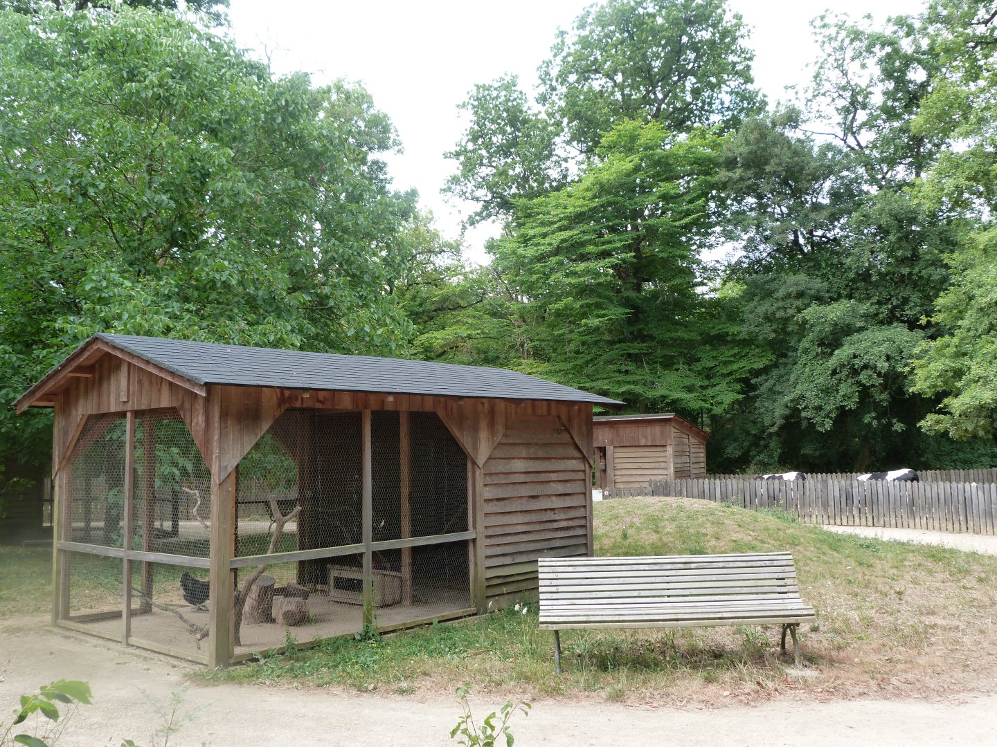 View of "Graine d’Odyssée" -Zoodyssée (2025)