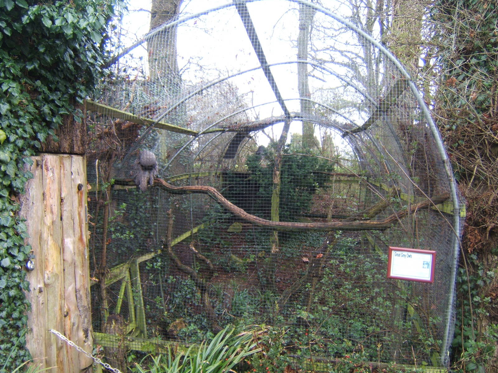View of Great Grey Owl Aviary