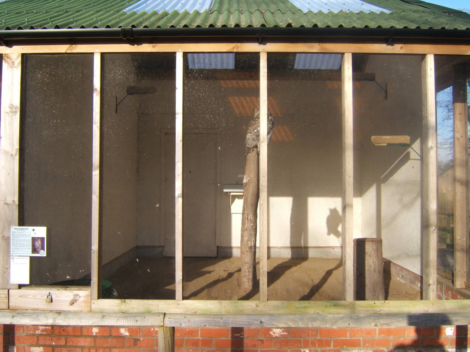 View of Great Horned Owl Aviary