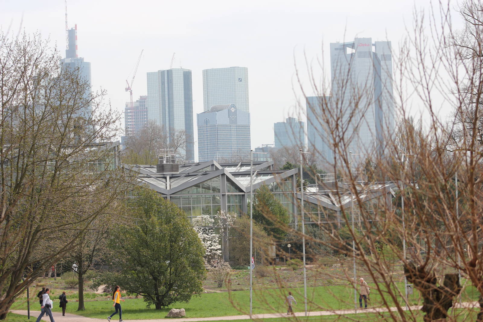 View of greenhouses
