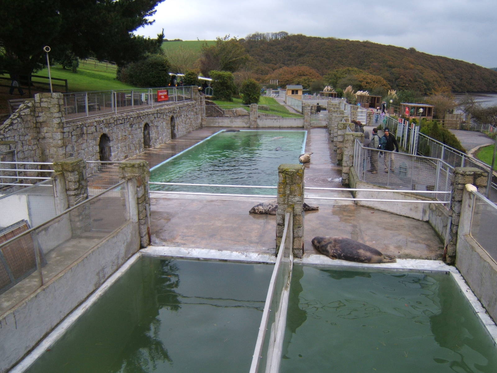 View of Grey Seal Pools