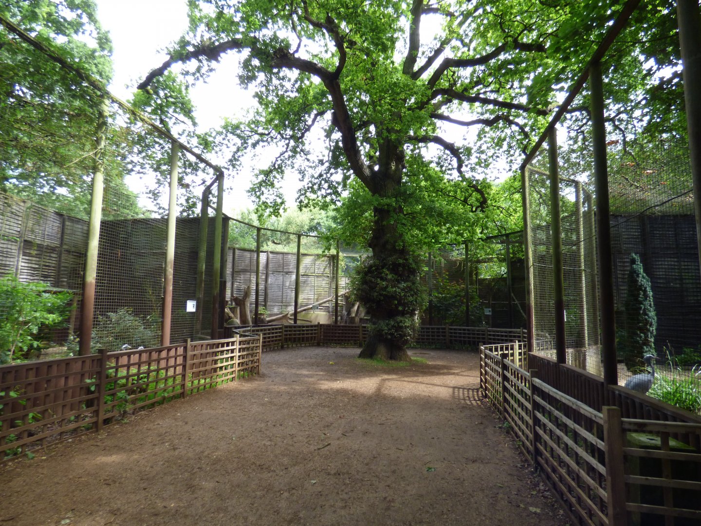 View of Ground Hornbill and Crane Aviaries