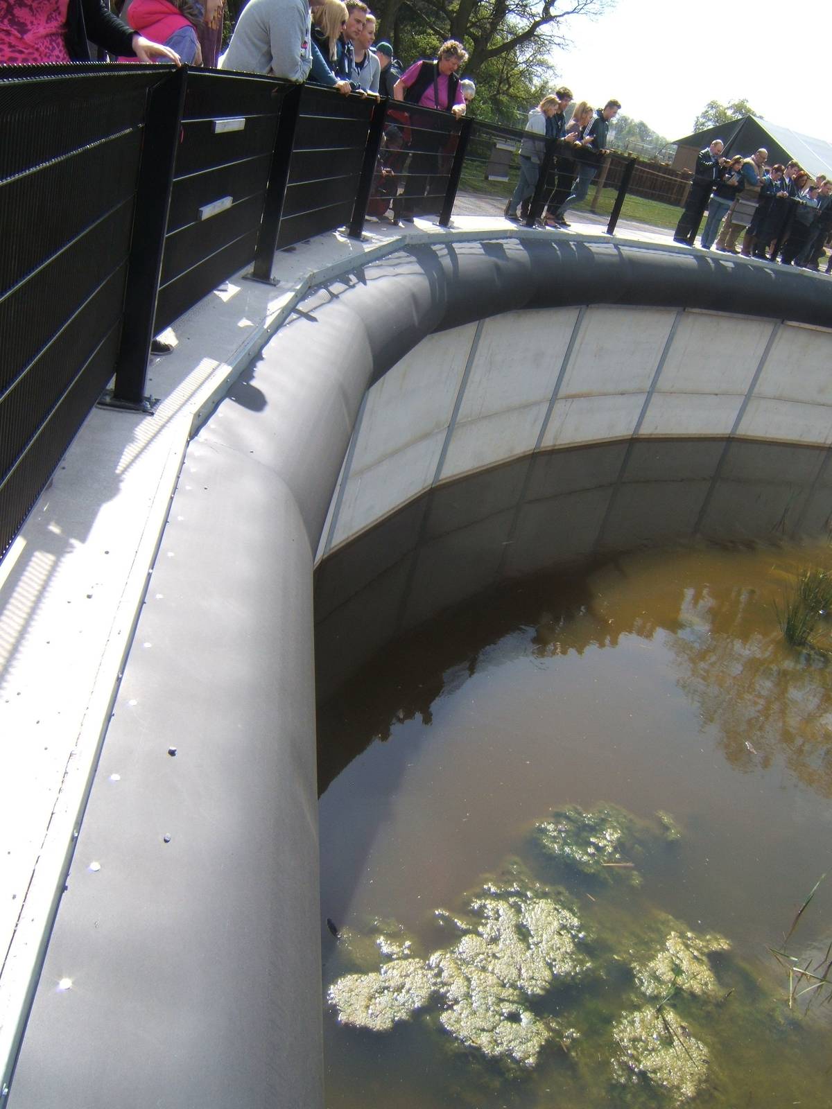 View of Guinea Baboon enclosure barrier