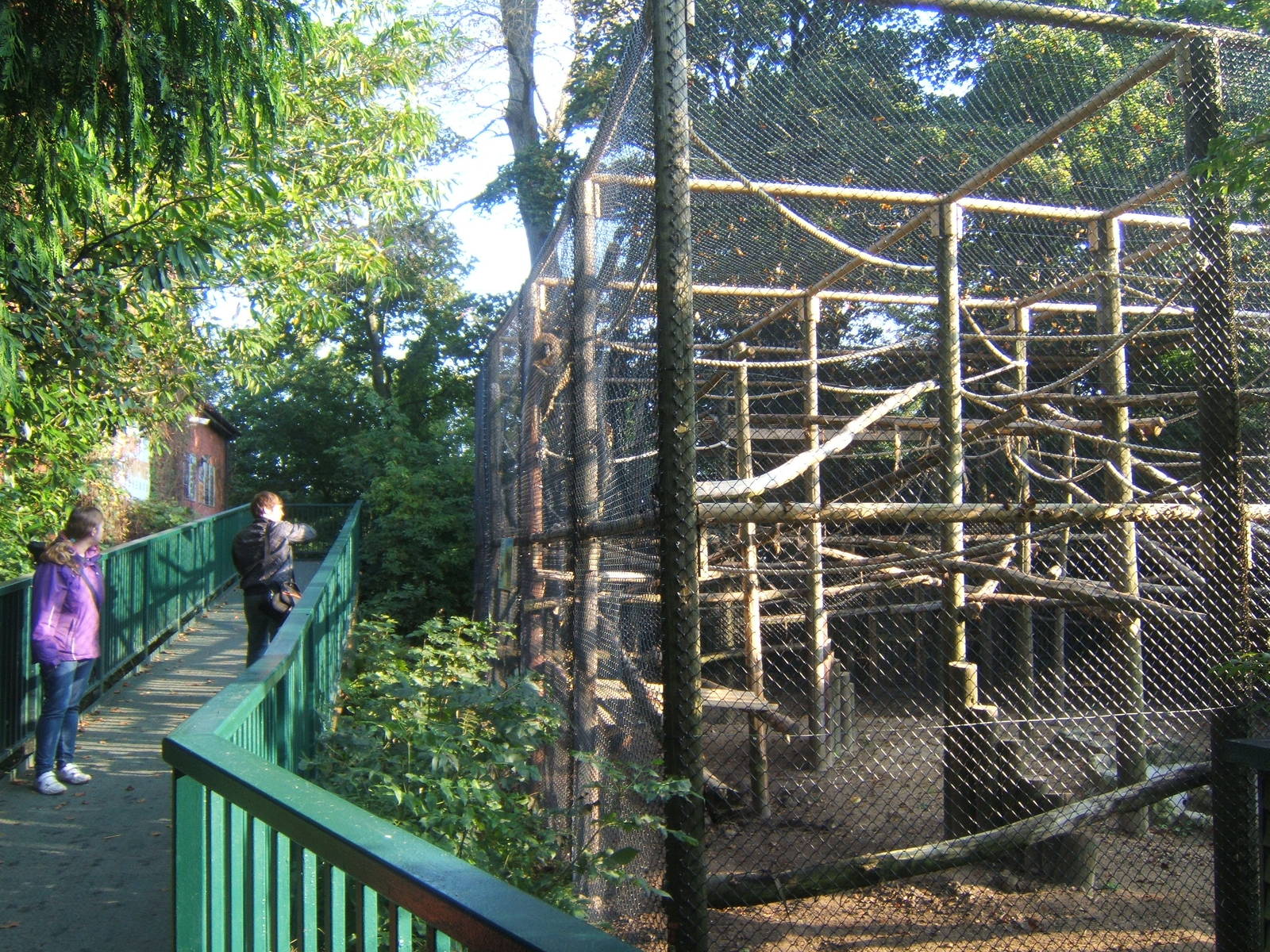 View of Guinea Baboon enclosure by entrance