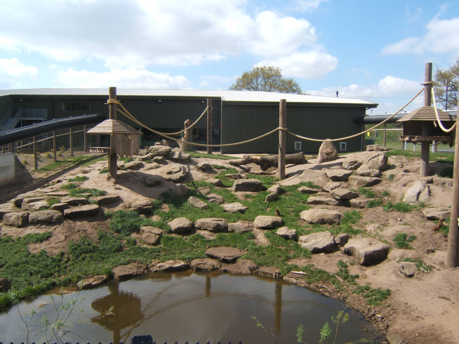 View of Guinea Baboon enclosure