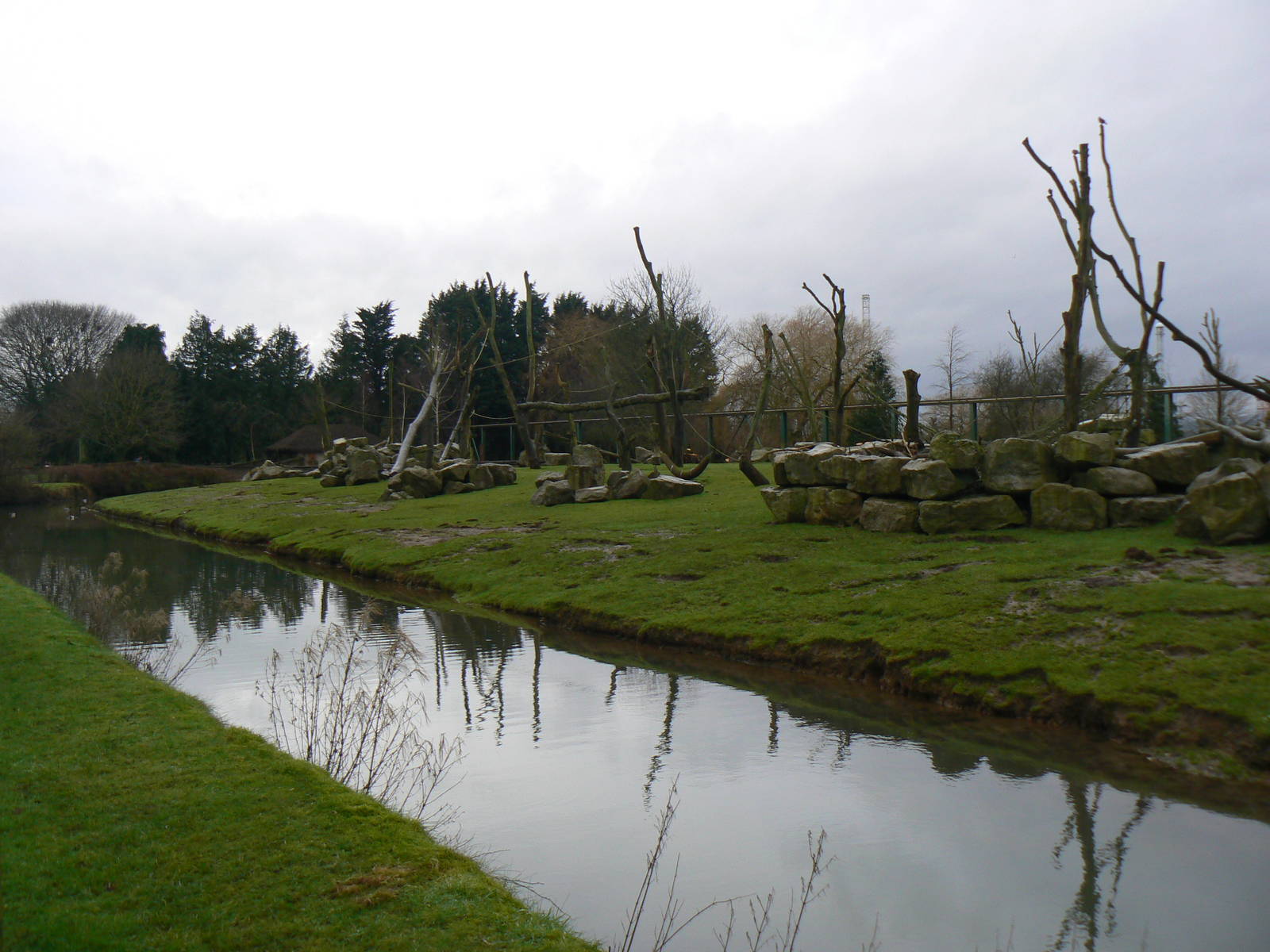 View of Hamadryas Baboon Enclosure - 24 January 2016
