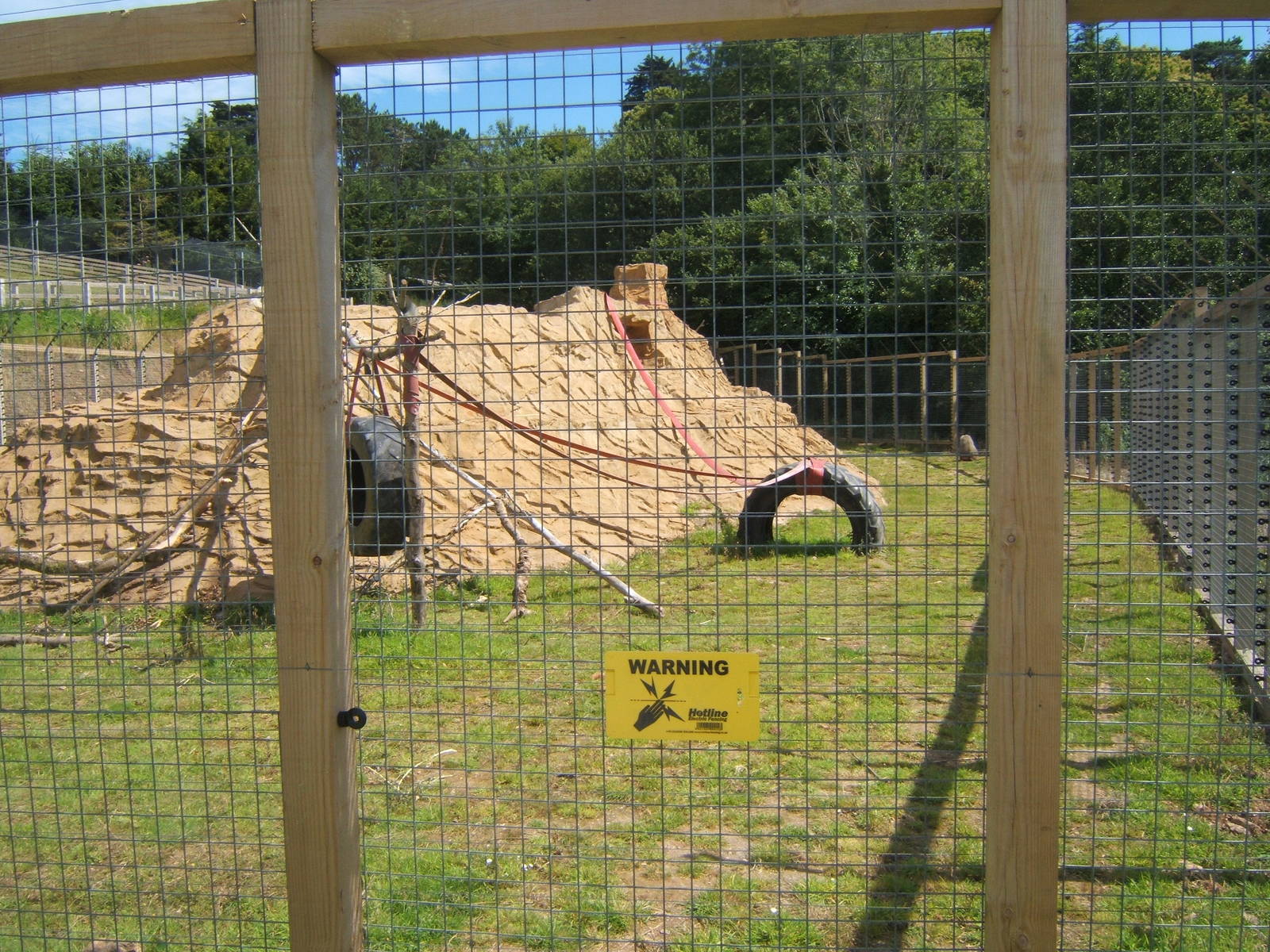 View of Hamadryas Baboon enclosure