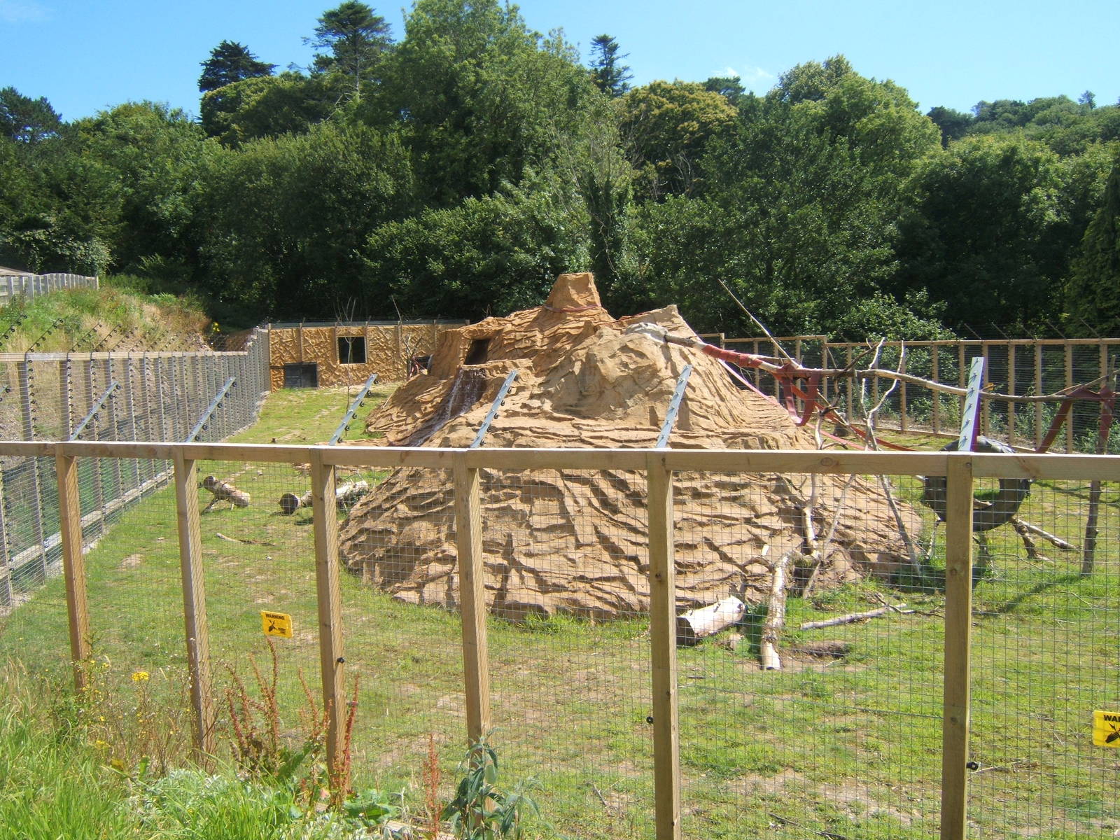 View of Hamadryas Baboon enclosure