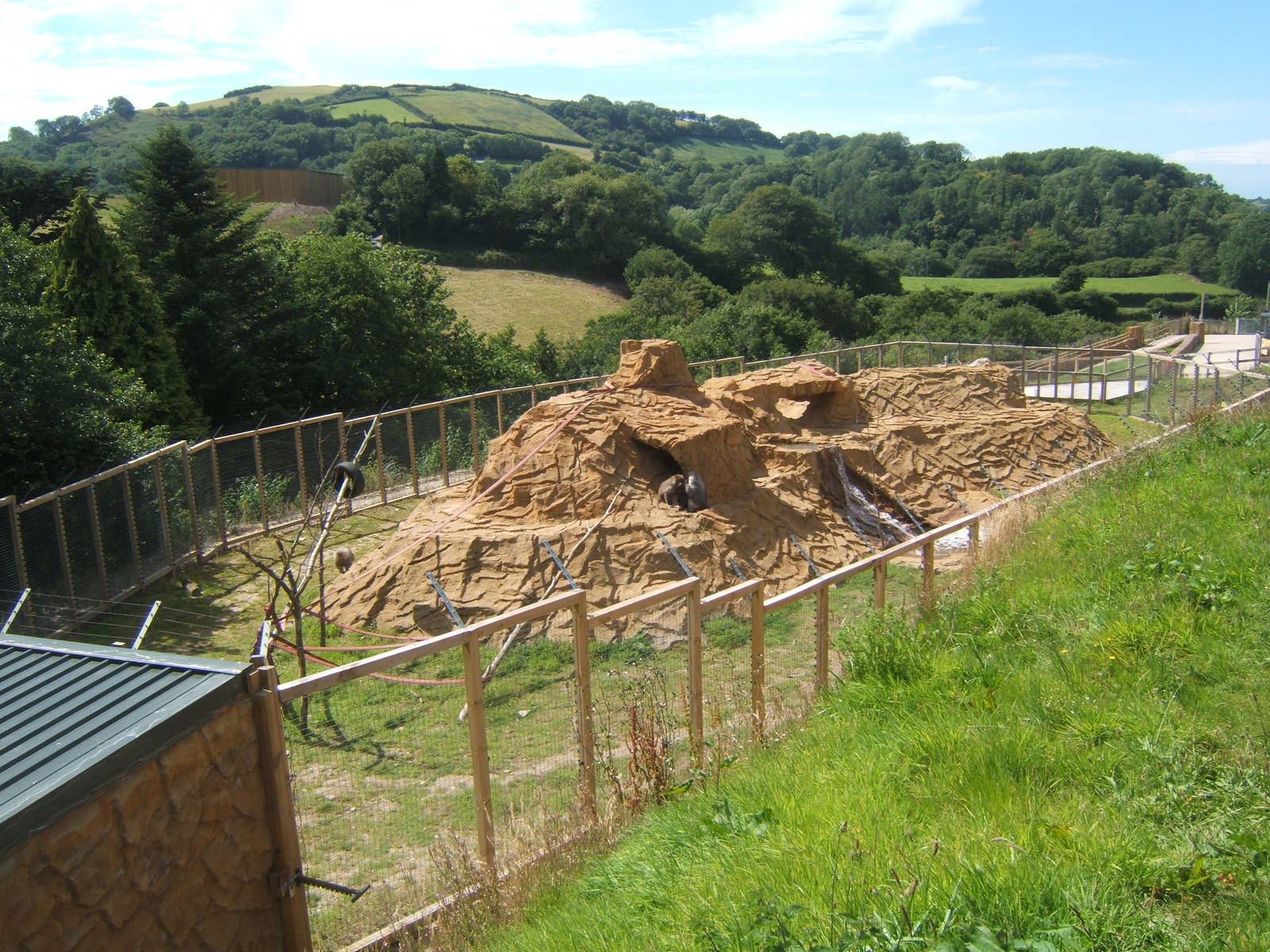 View of Hamadryas Baboon enclosure