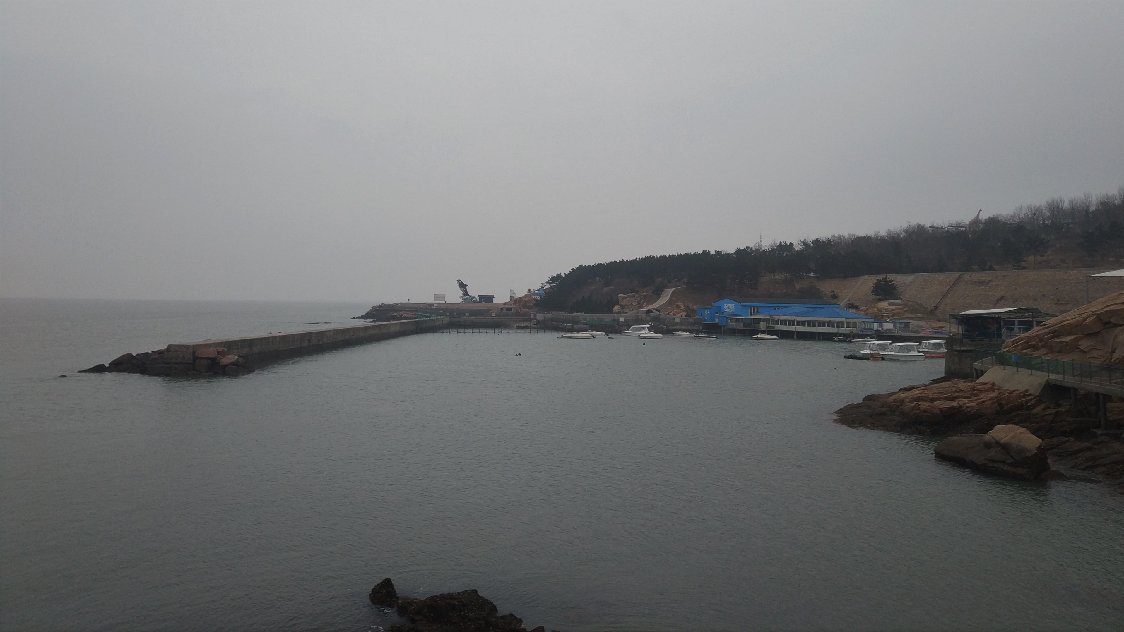 View Of Harbour, Pinniped Exhibits And Risso's Dolphin House