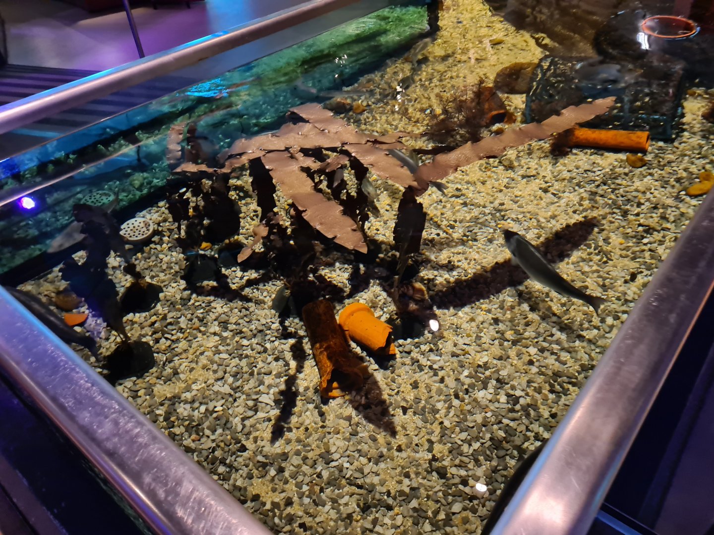 View of harbour tank