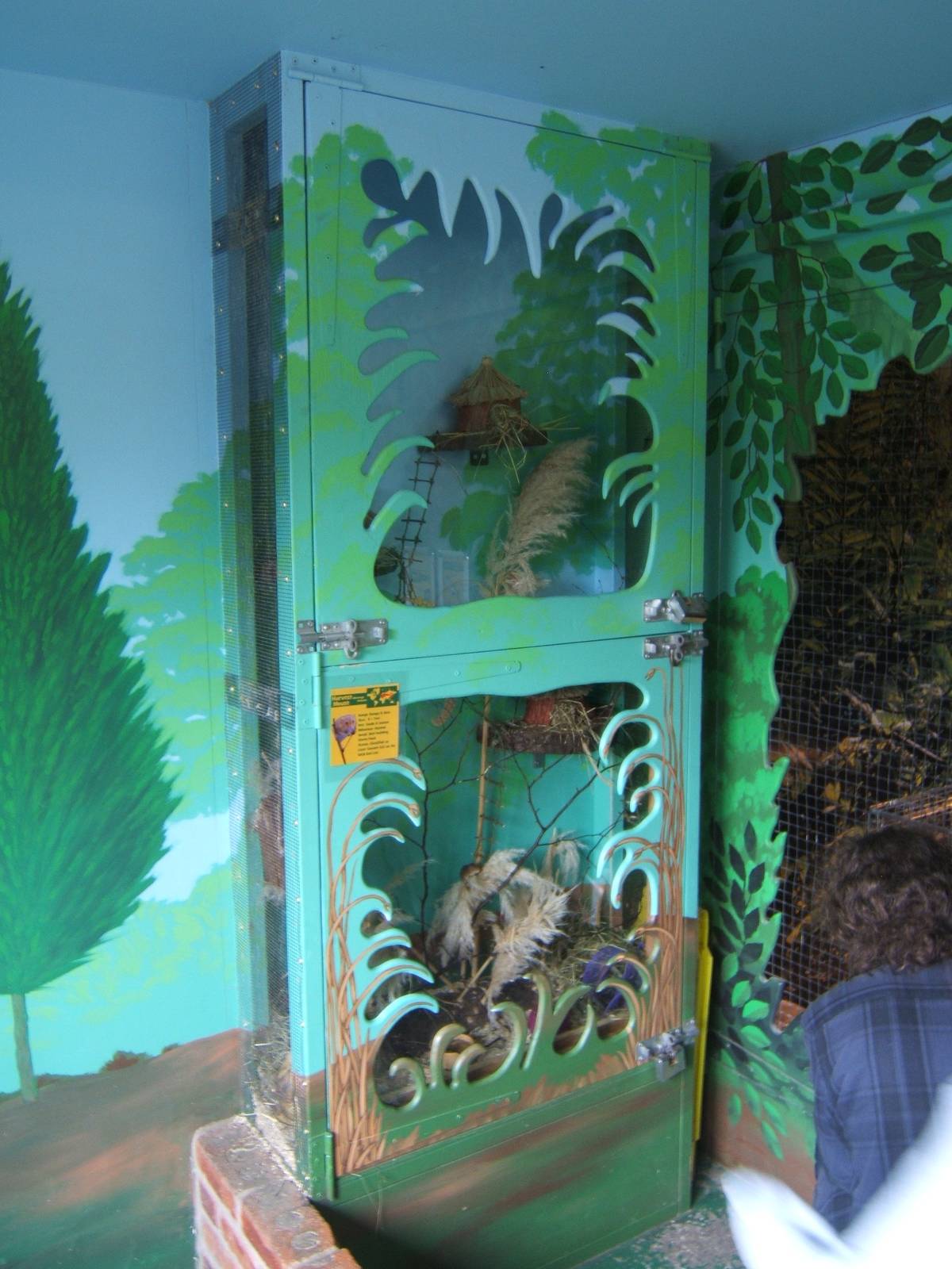 View of Harvest Mouse enclosure