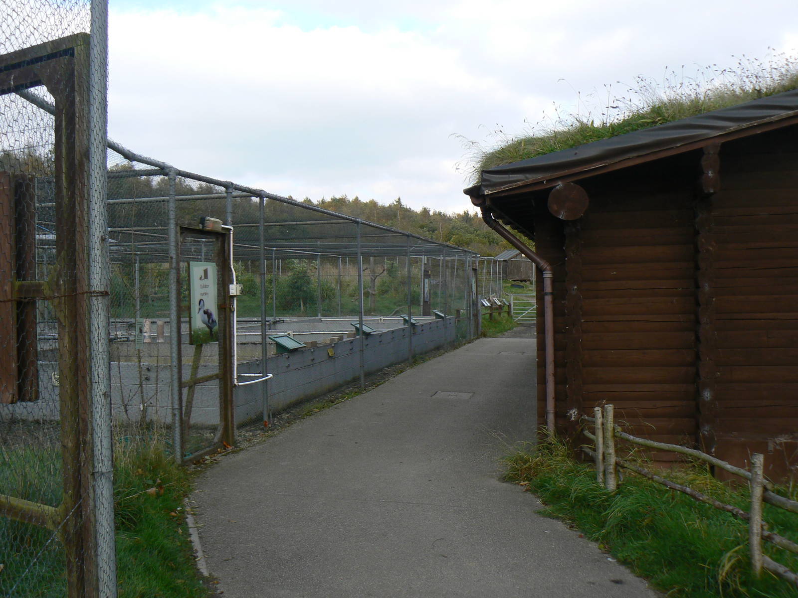 View of Hatchery - 26 October 2015