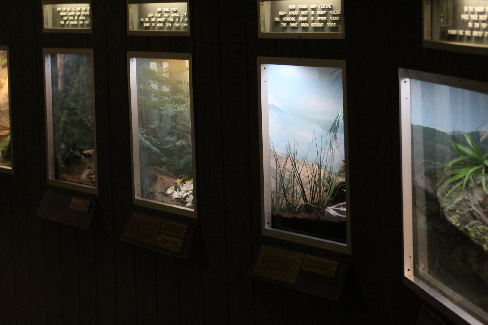 View of Herp Terrariums