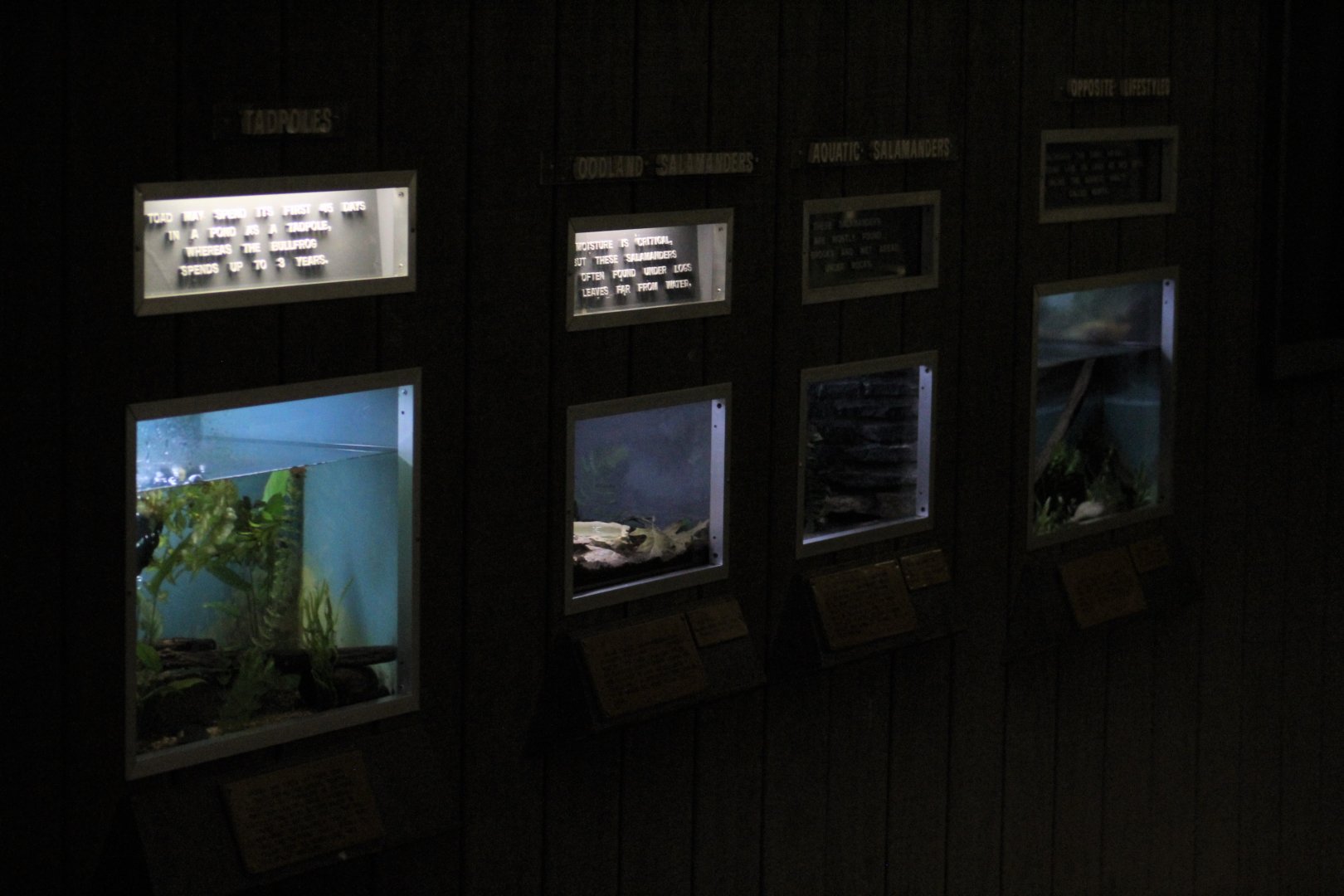 View of Herp Terrariums