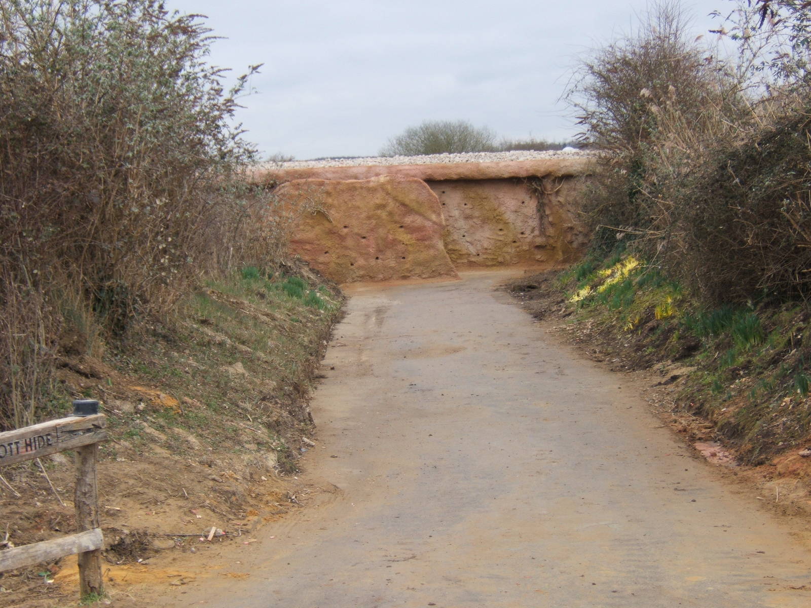 View of hide done as a Sand Martin bank